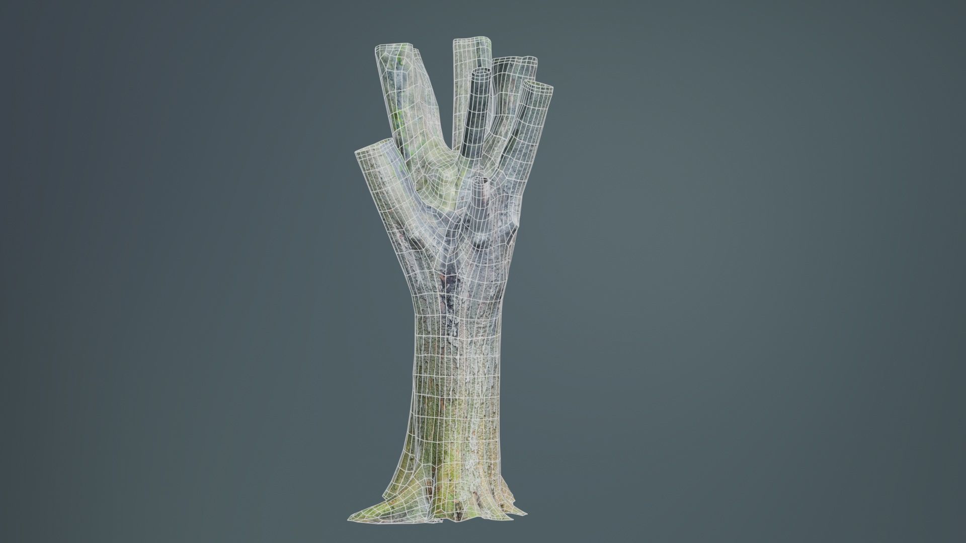 Fragmented Bark Tree Trunk Low-poly 3D model_10
