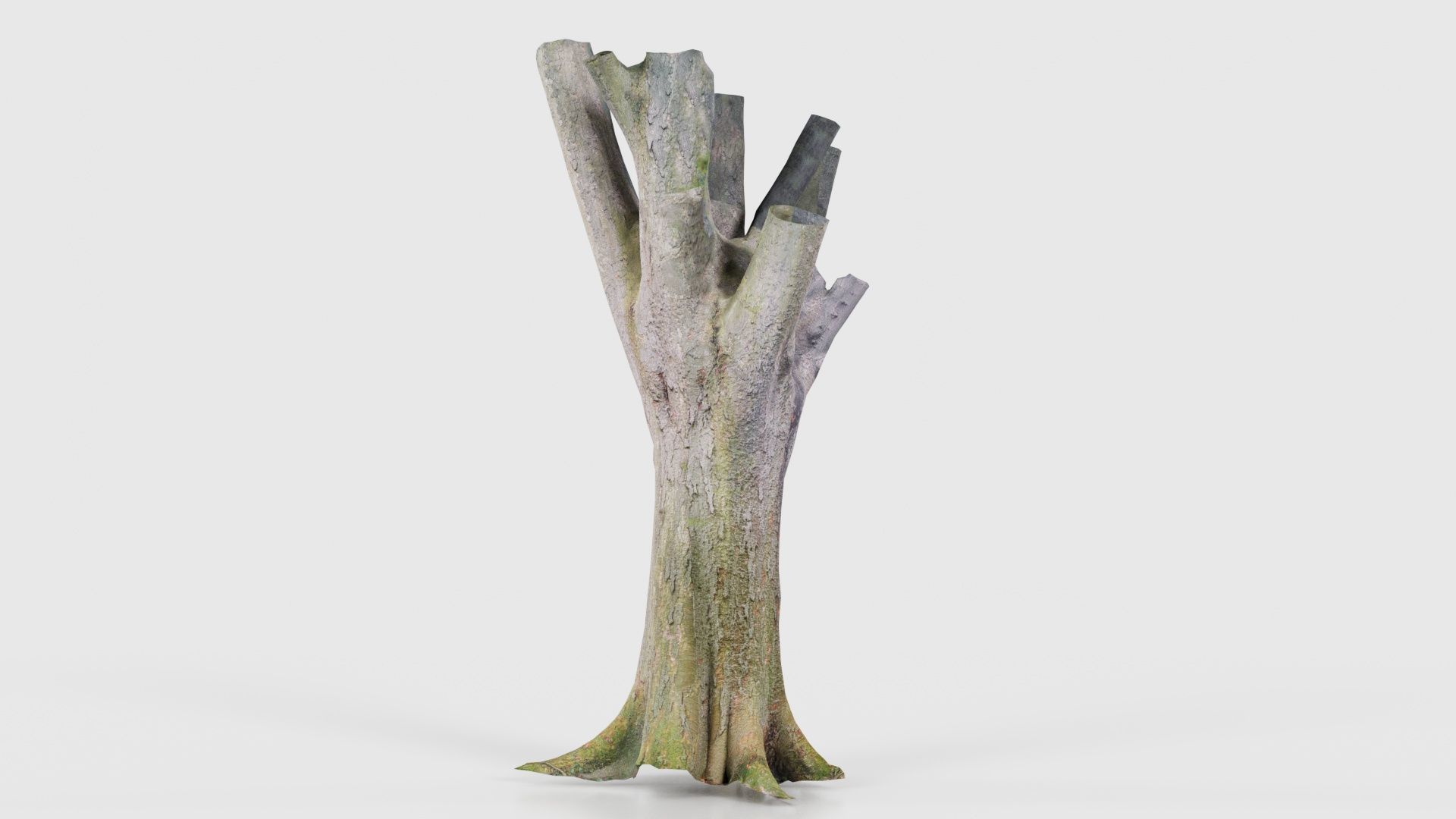 Fragmented Bark Tree Trunk Low-poly 3D model_24