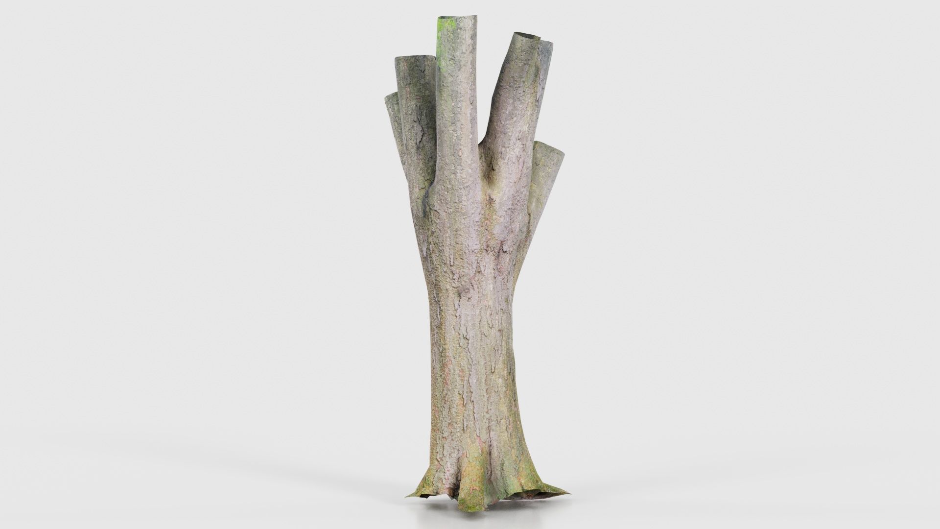 Fragmented Bark Tree Trunk Low-poly 3D model_15