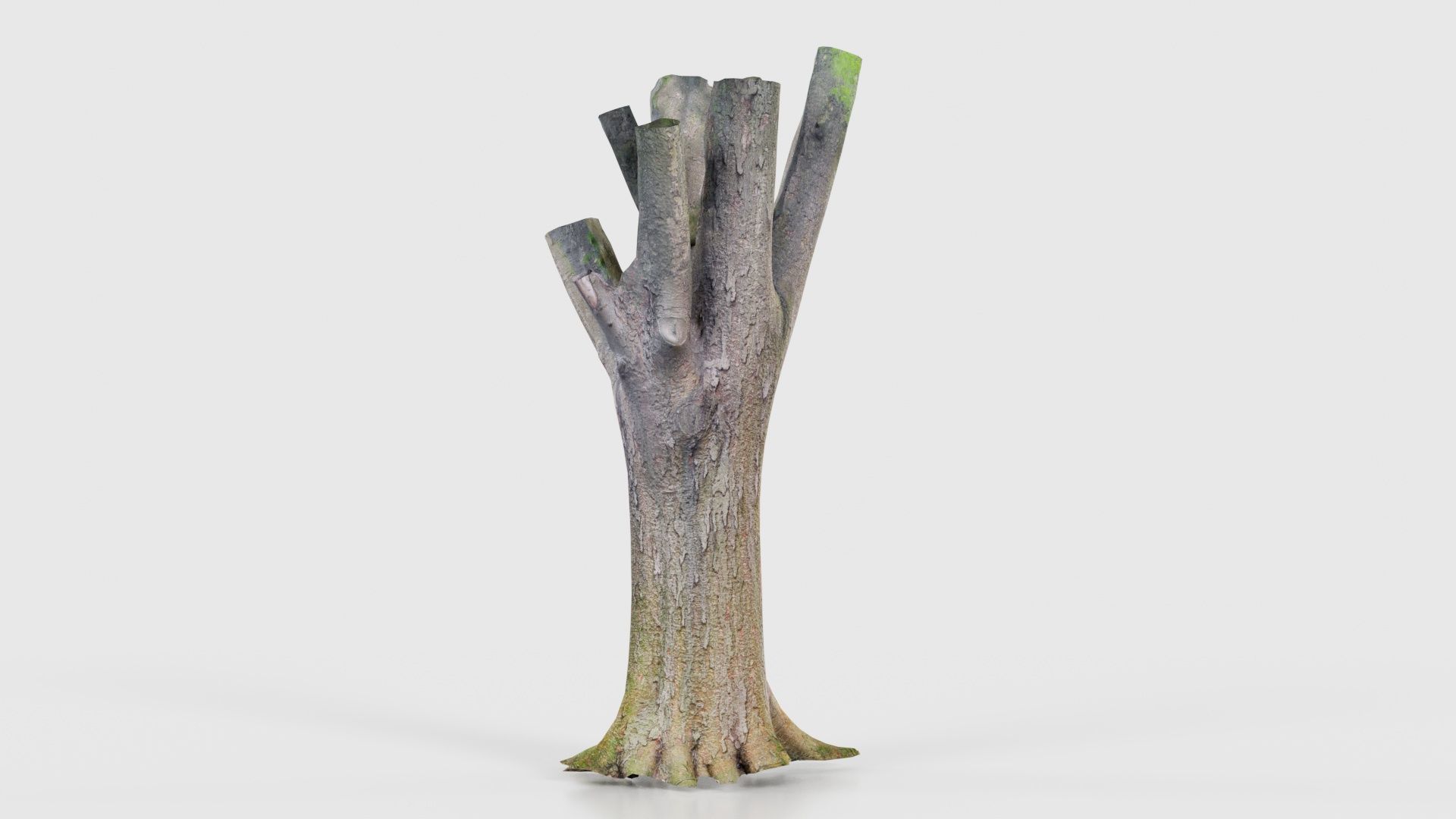 Fragmented Bark Tree Trunk Low-poly 3D model_19
