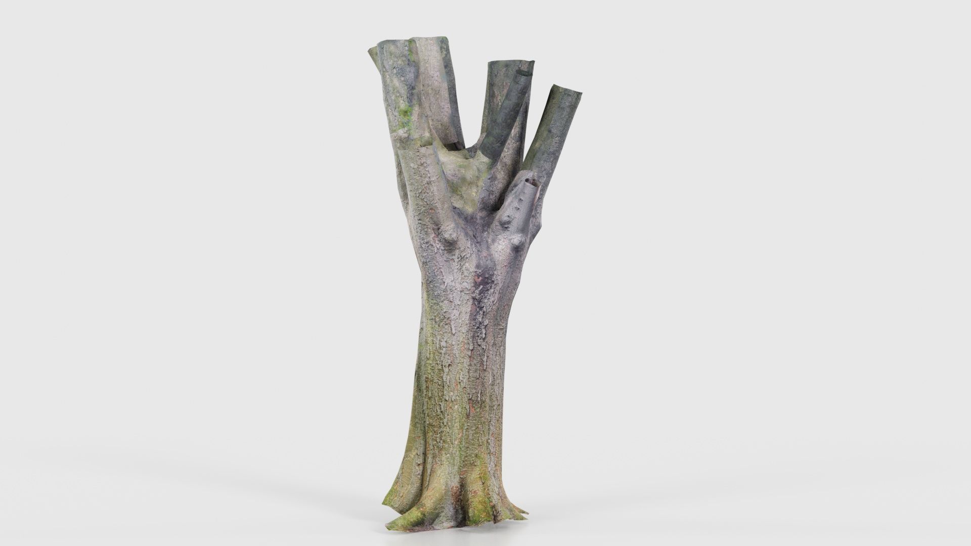 Fragmented Bark Tree Trunk Low-poly 3D model_22