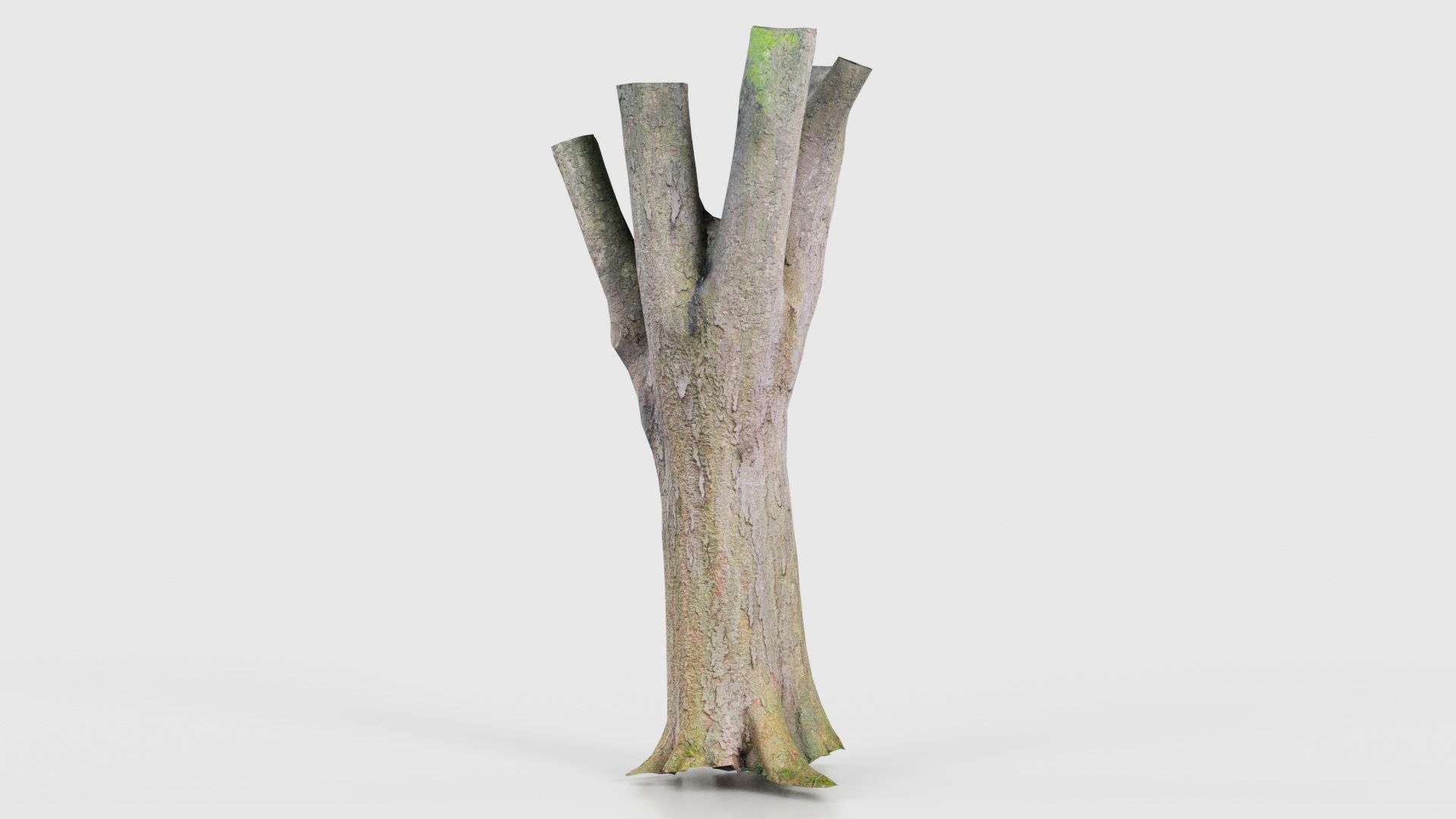 Fragmented Bark Tree Trunk Low-poly 3D model_16