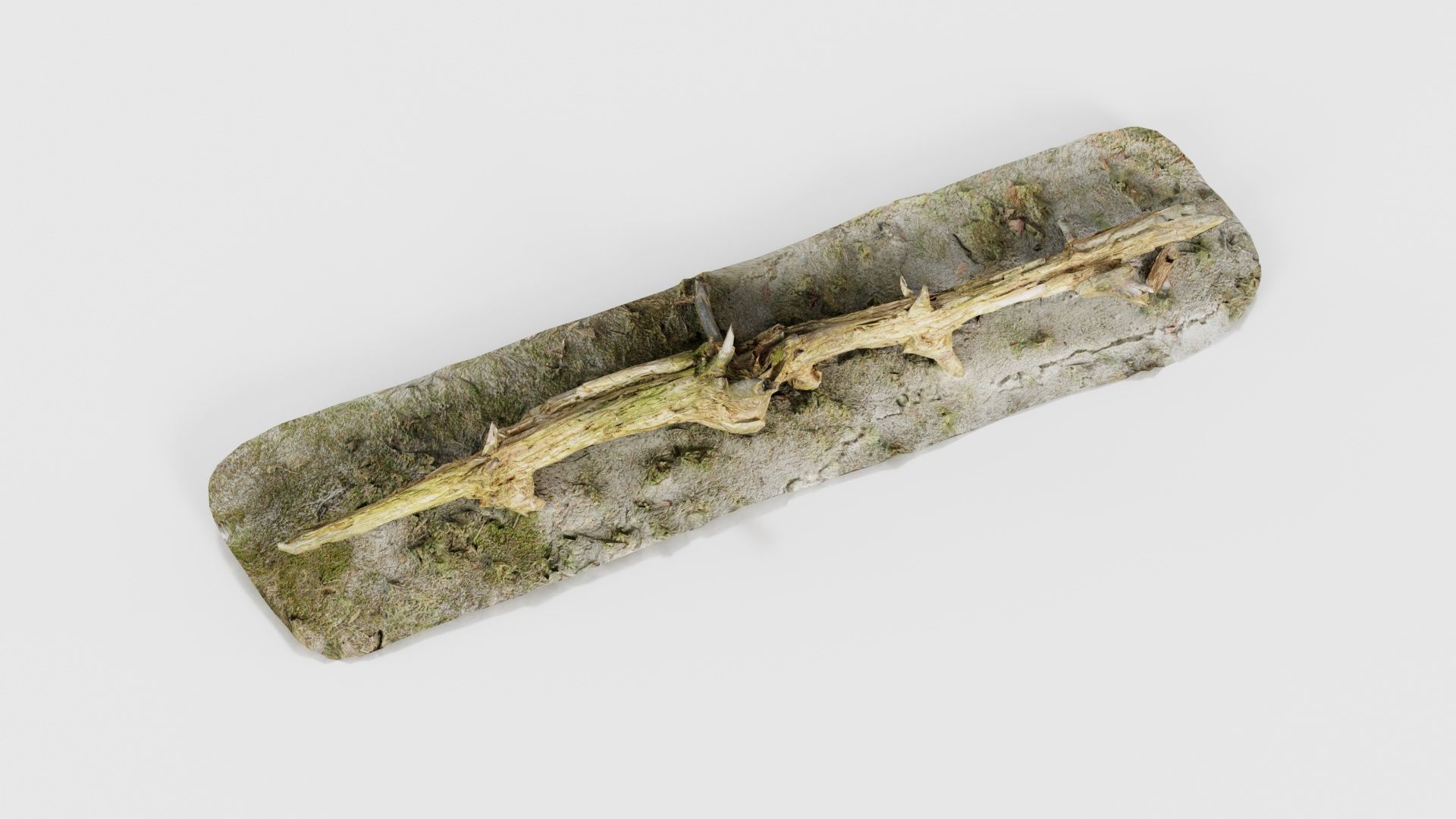 Ground Branch Split Low-poly 3D model_26