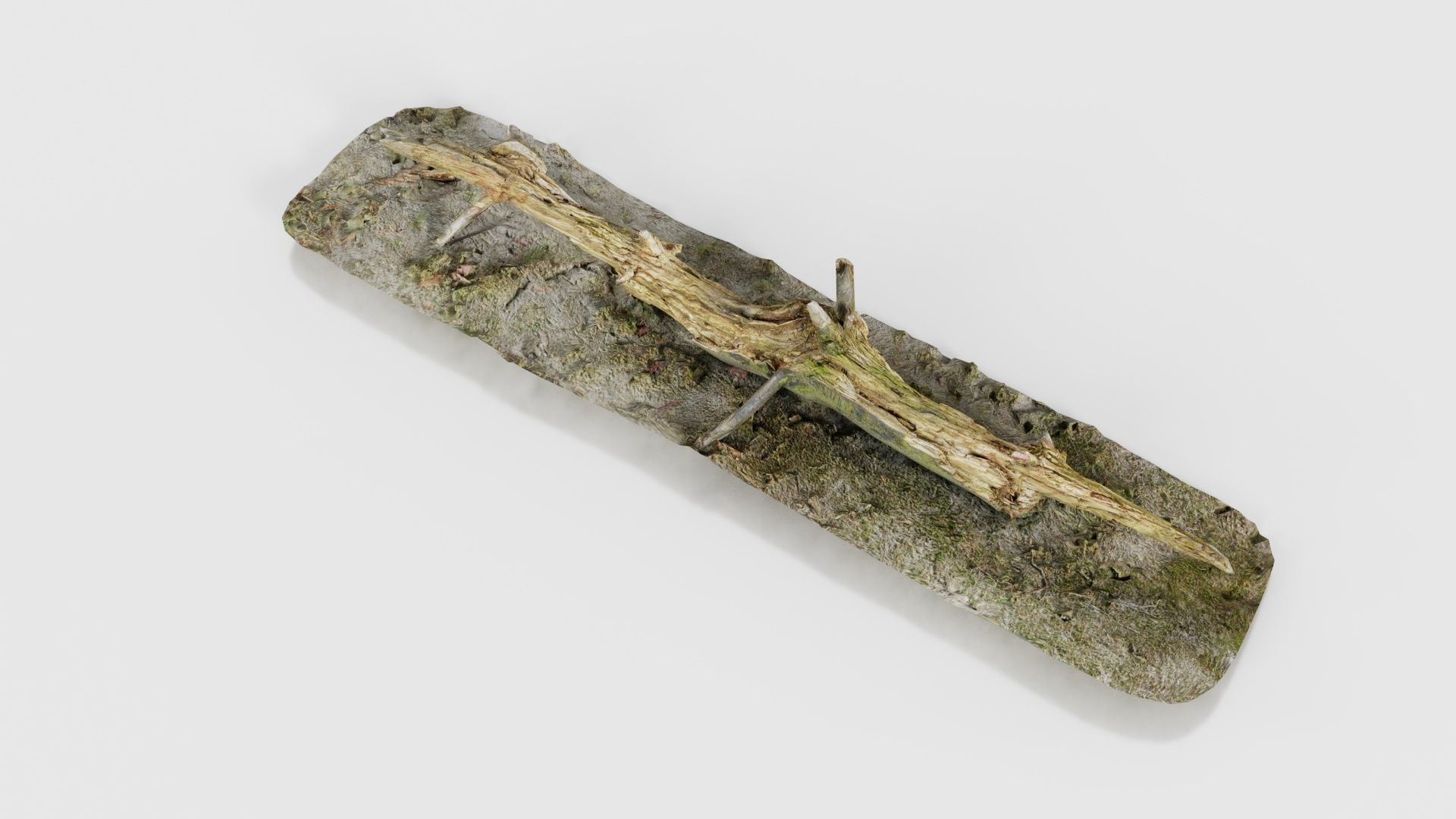 Ground Branch Split Low-poly 3D model_18