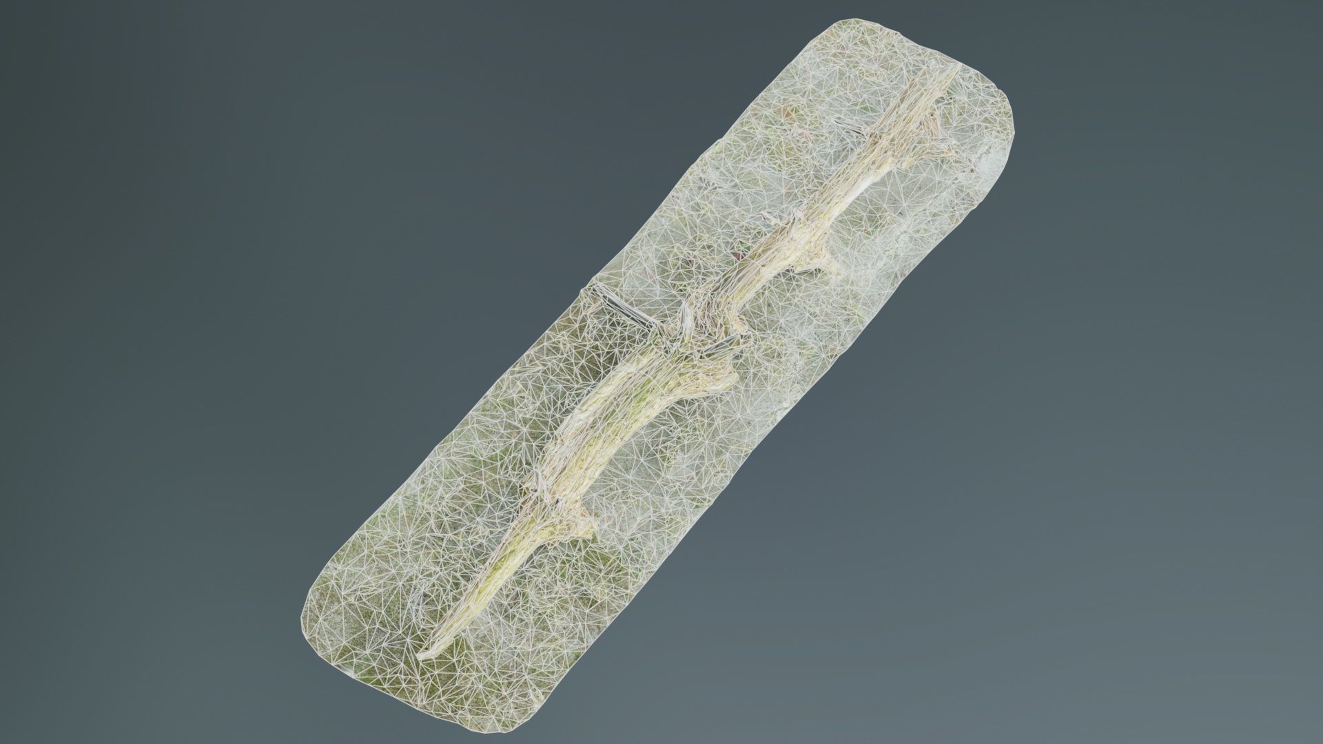 Ground Branch Split Low-poly 3D model_9