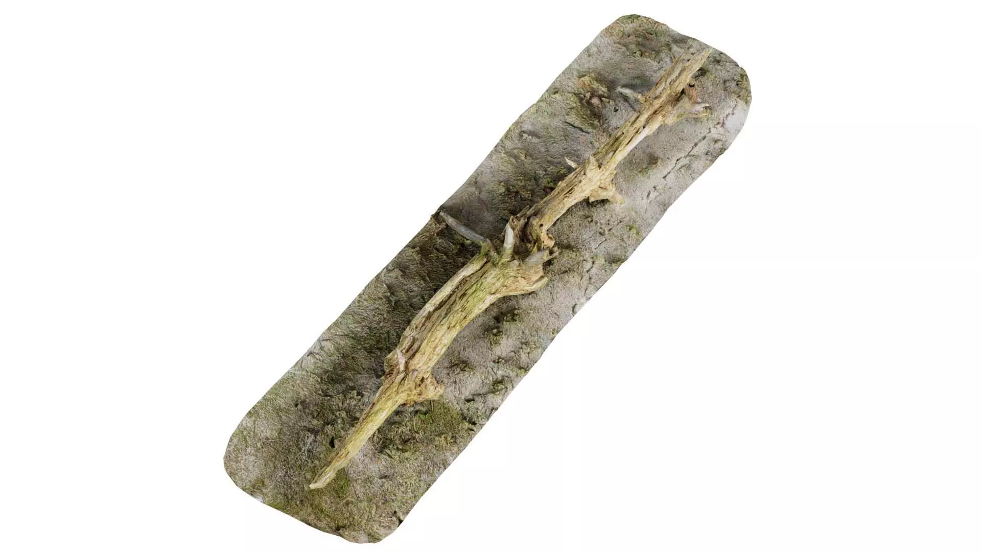 Ground Branch Split Low-poly 3D model_0