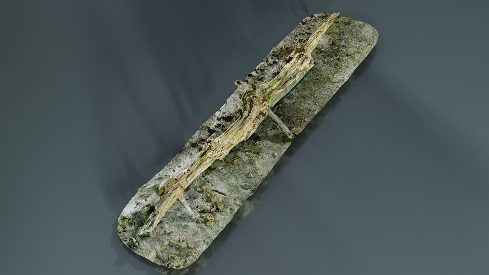 Ground Branch Split Low-poly 3D model_4