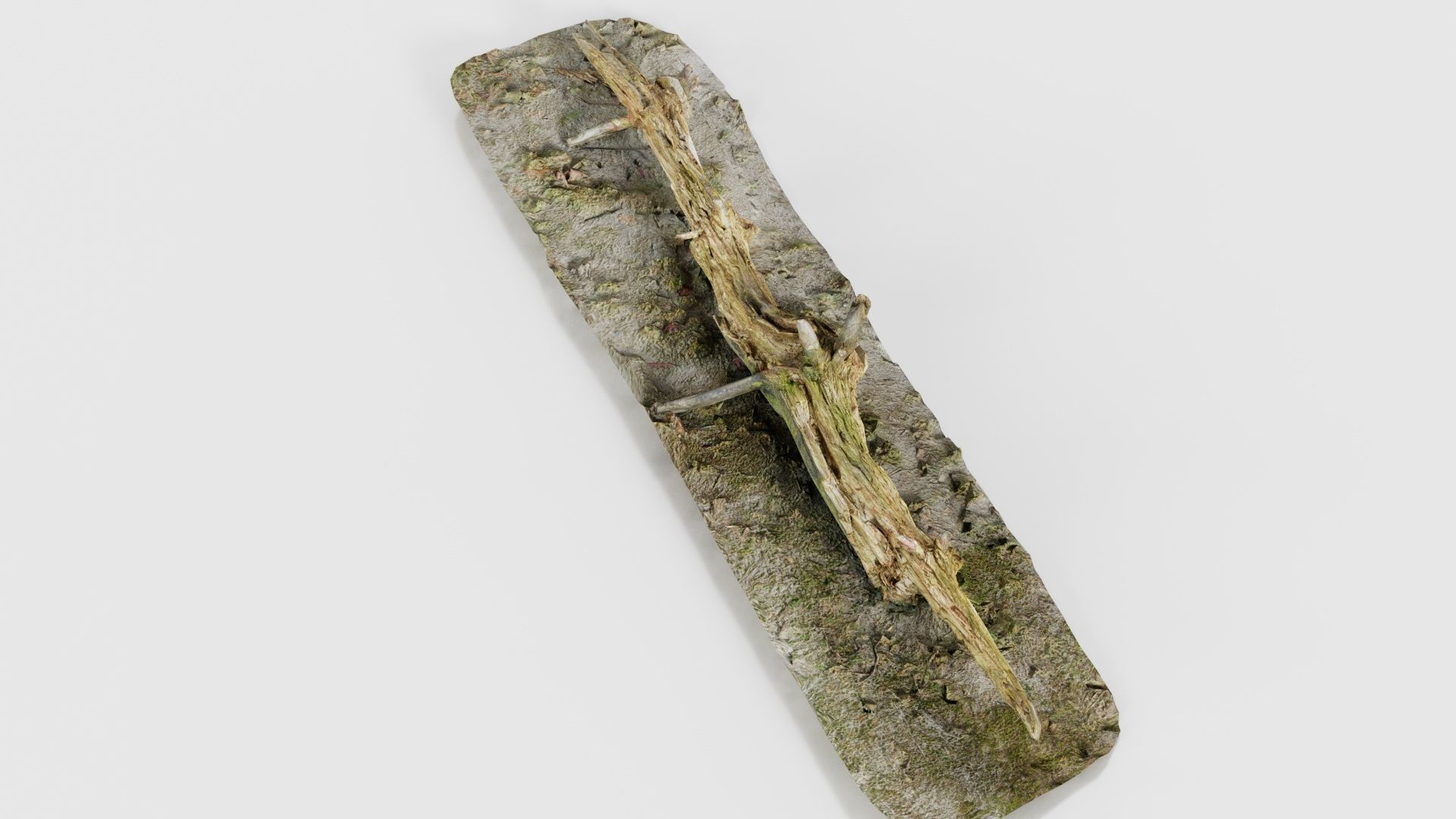 Ground Branch Split Low-poly 3D model_17