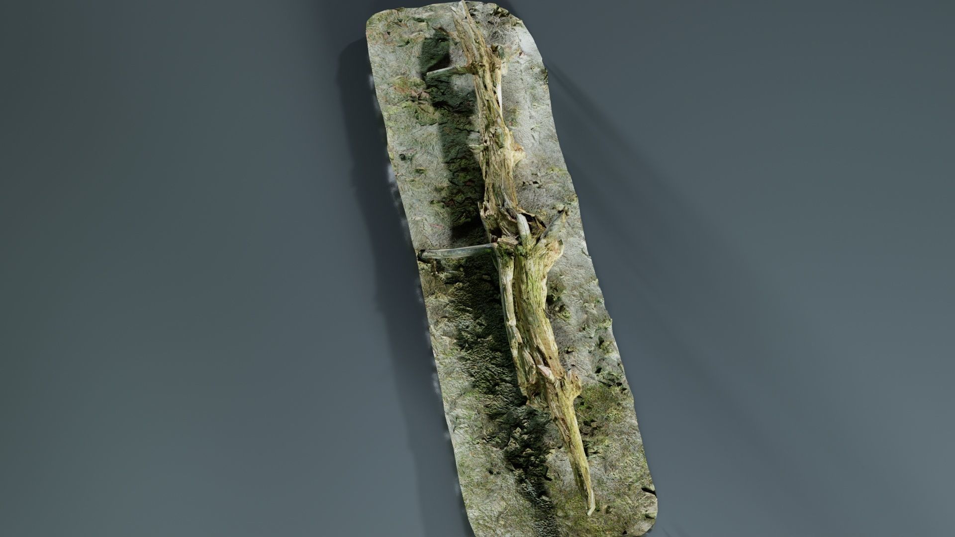 Ground Branch Split Low-poly 3D model_7