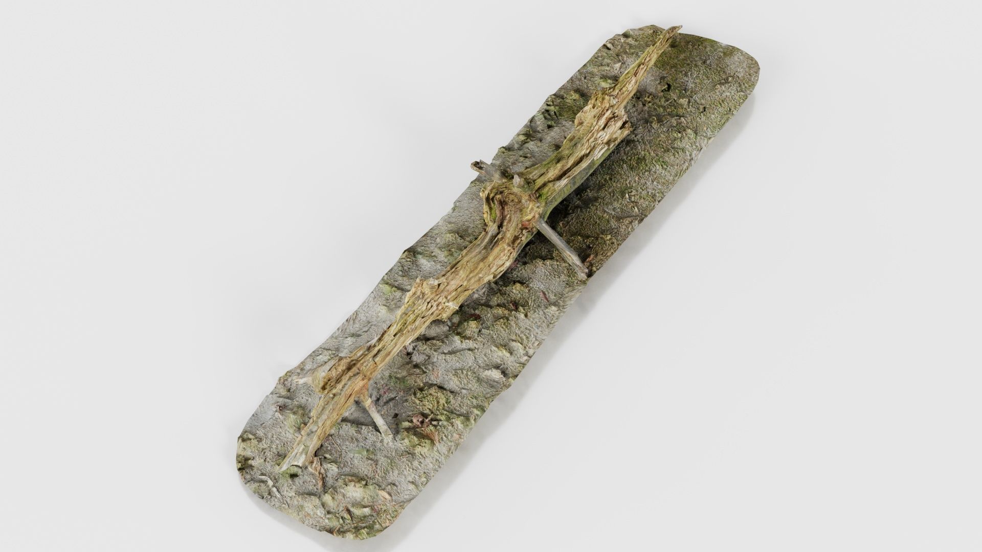 Ground Branch Split Low-poly 3D model_21