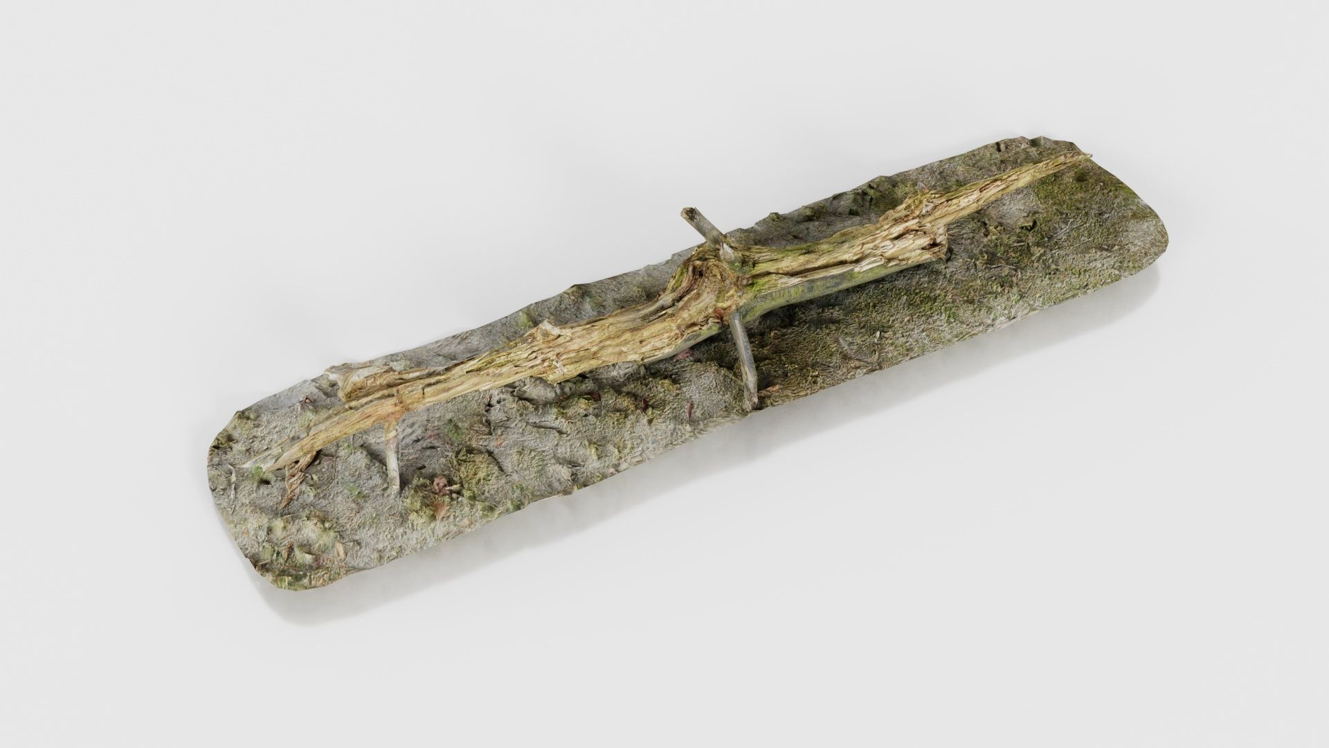 Ground Branch Split Low-poly 3D model_20