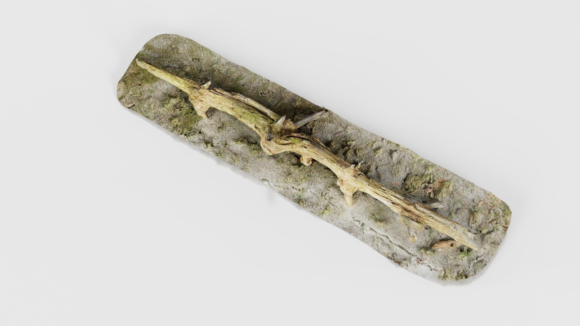 Ground Branch Split Low-poly 3D model_24