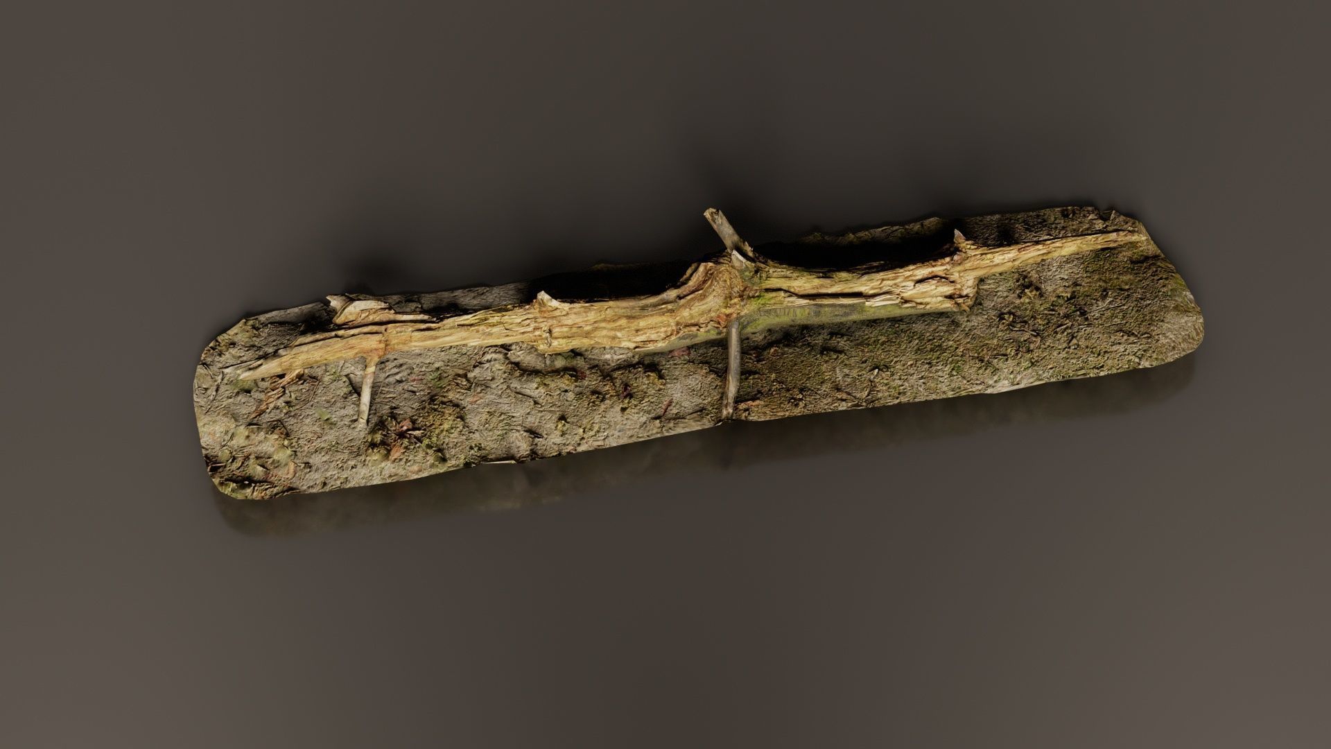 Ground Branch Split Low-poly 3D model_6