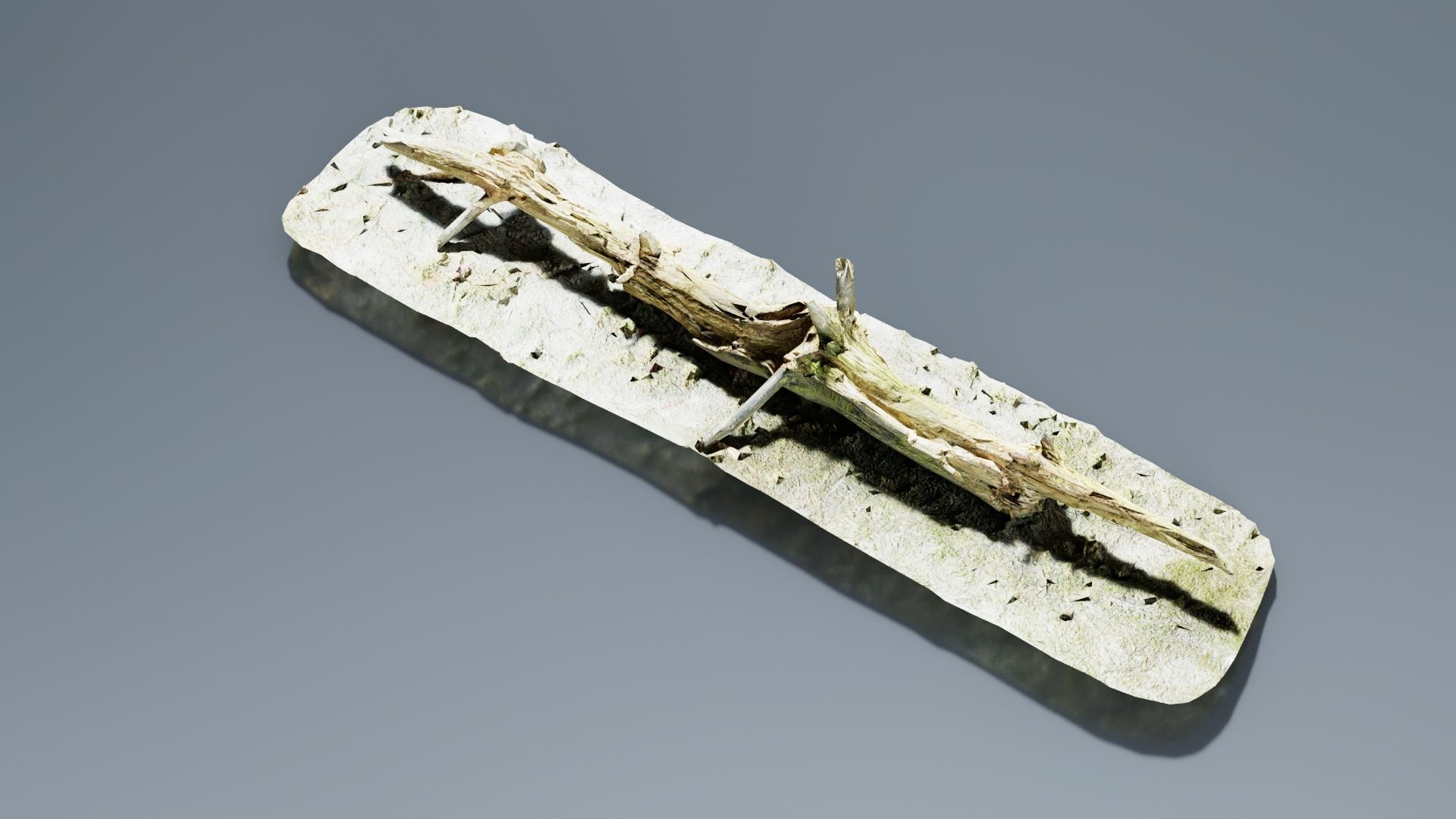 Ground Branch Split Low-poly 3D model_3