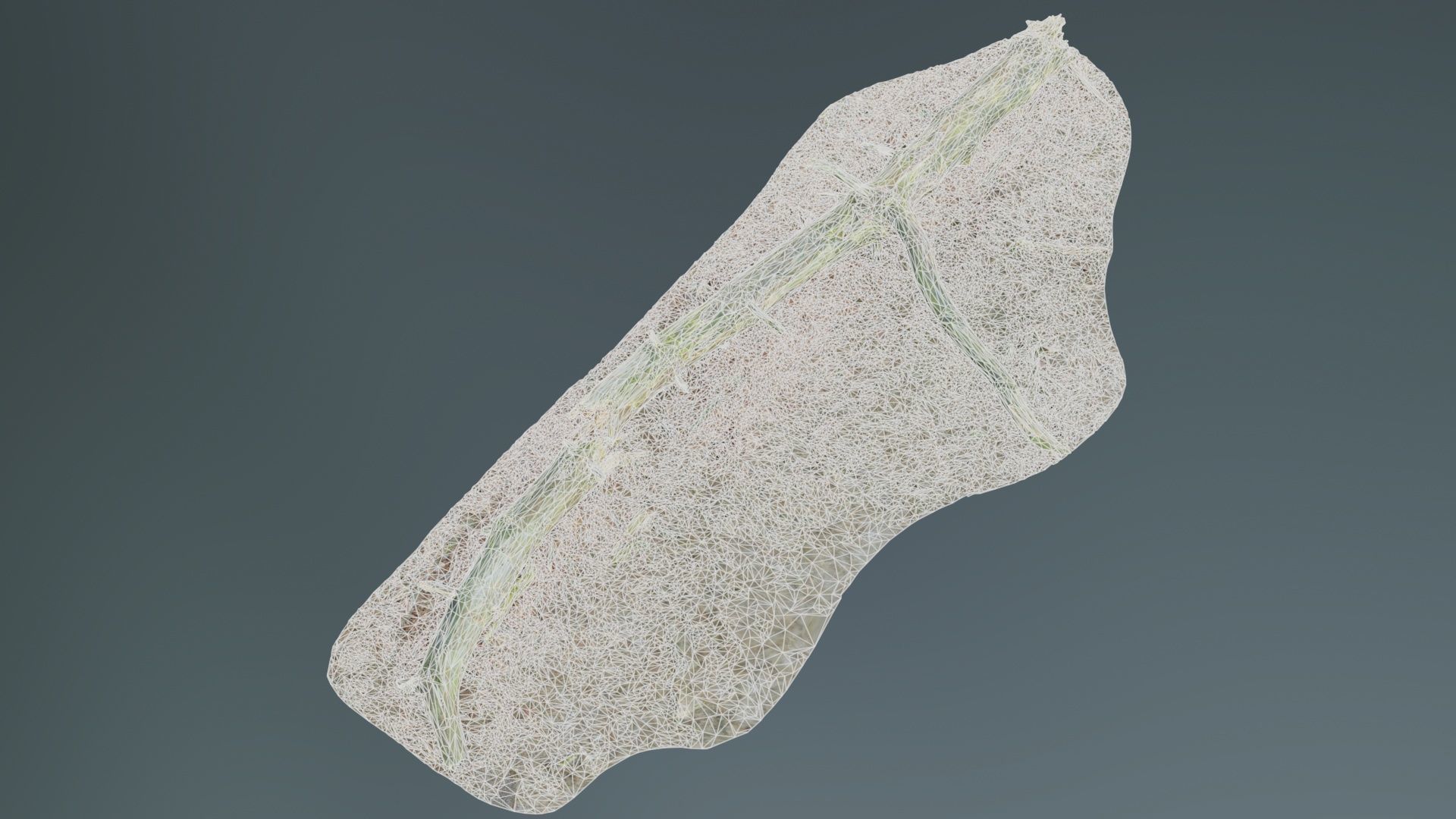 Ground Tree Branch Low-poly 3D model_9