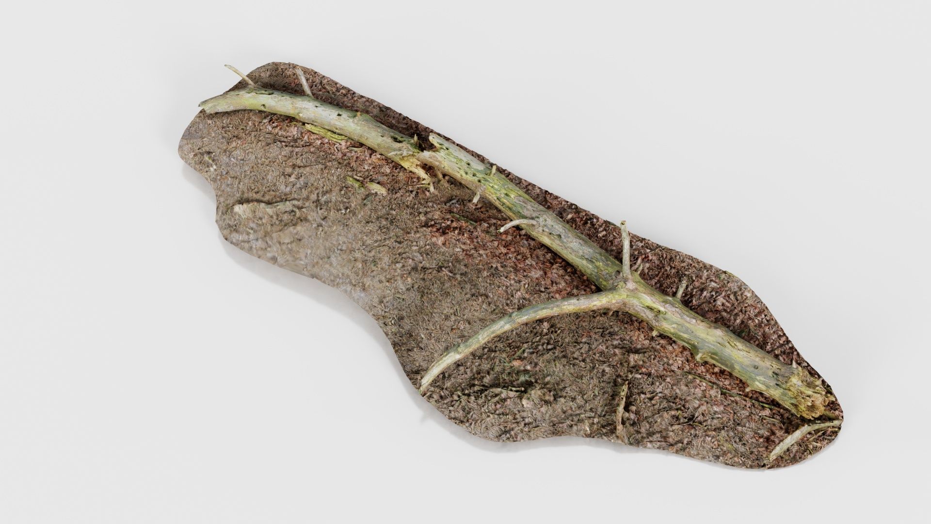 Ground Tree Branch Low-poly 3D model_24