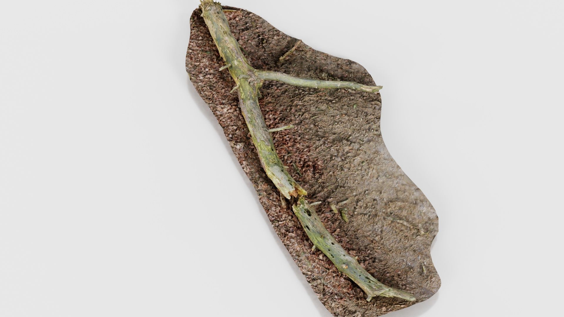 Ground Tree Branch Low-poly 3D model_17