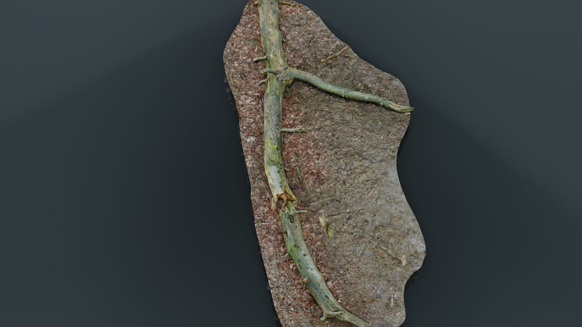 Ground Tree Branch Low-poly 3D model_6