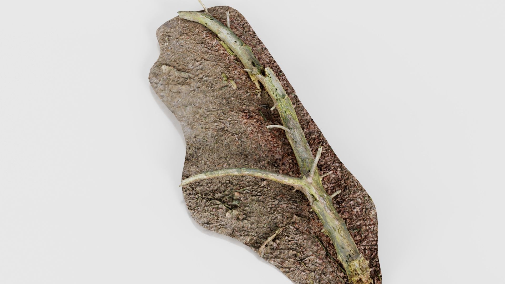 Ground Tree Branch Low-poly 3D model_23