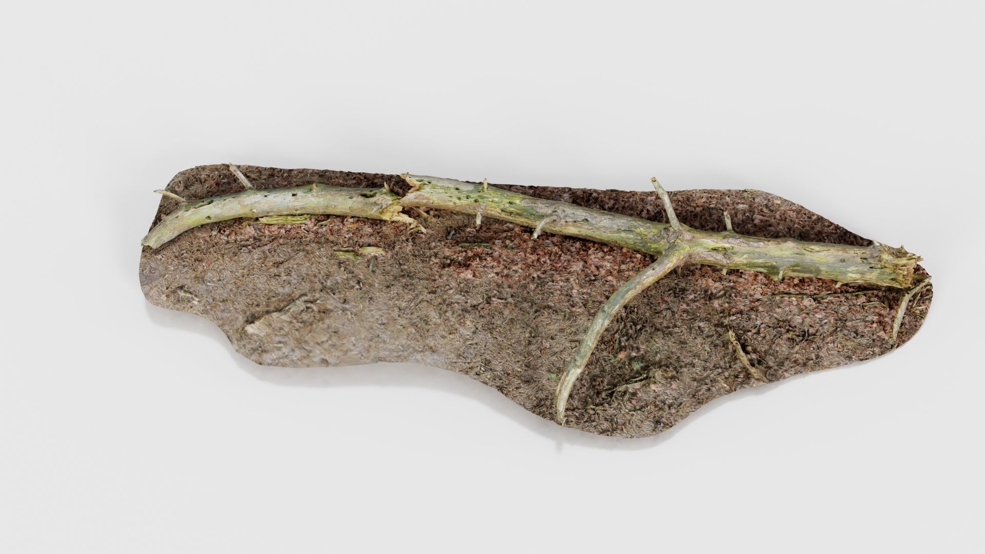 Ground Tree Branch Low-poly 3D model_25