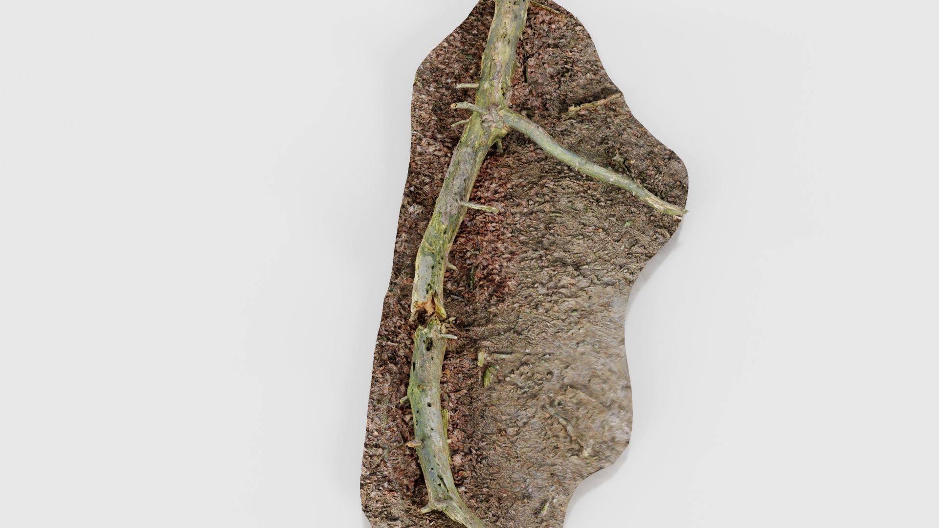 Ground Tree Branch Low-poly 3D model_16