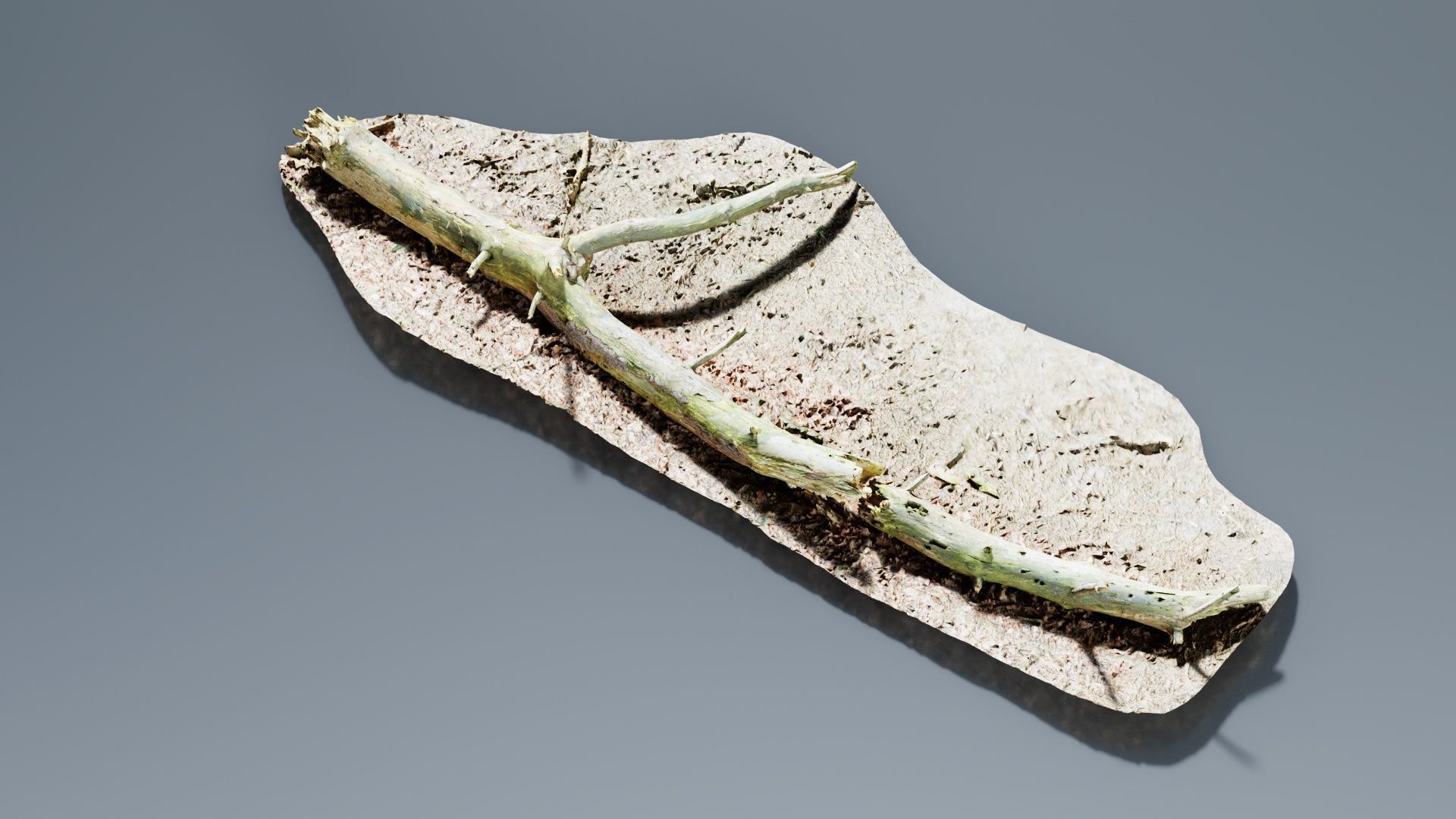 Ground Tree Branch Low-poly 3D model_1