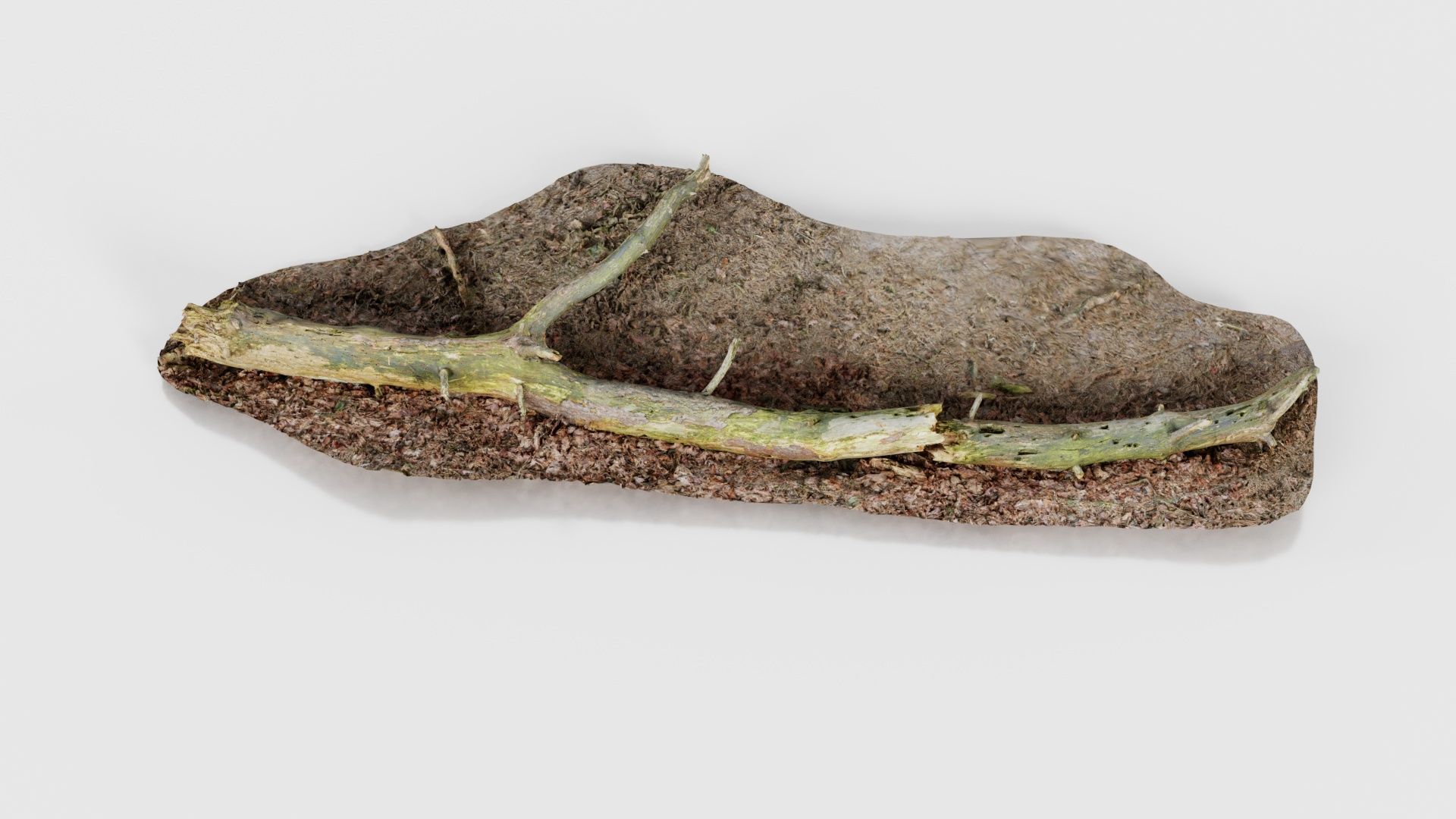 Ground Tree Branch Low-poly 3D model_19