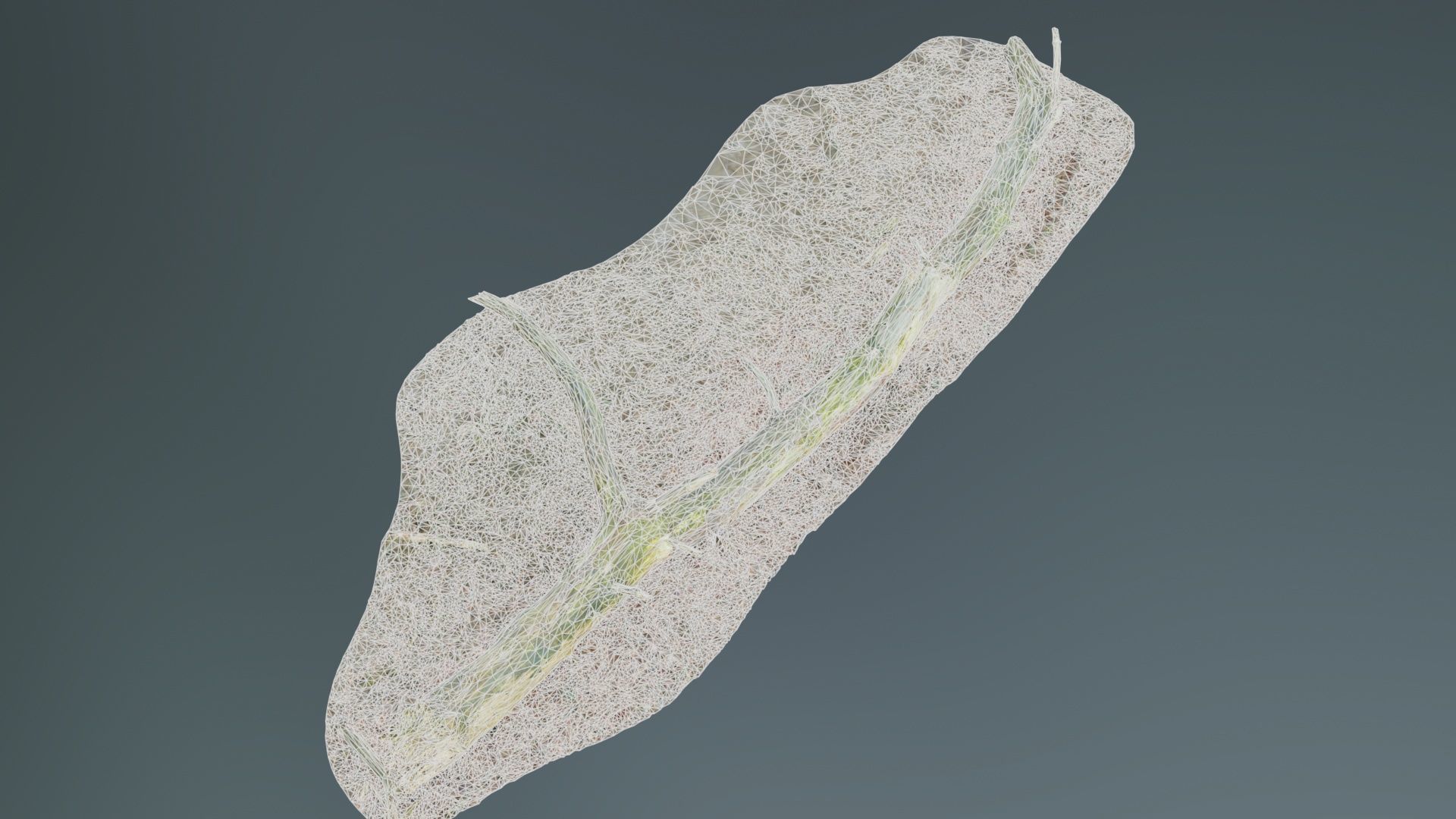 Ground Tree Branch Low-poly 3D model_10