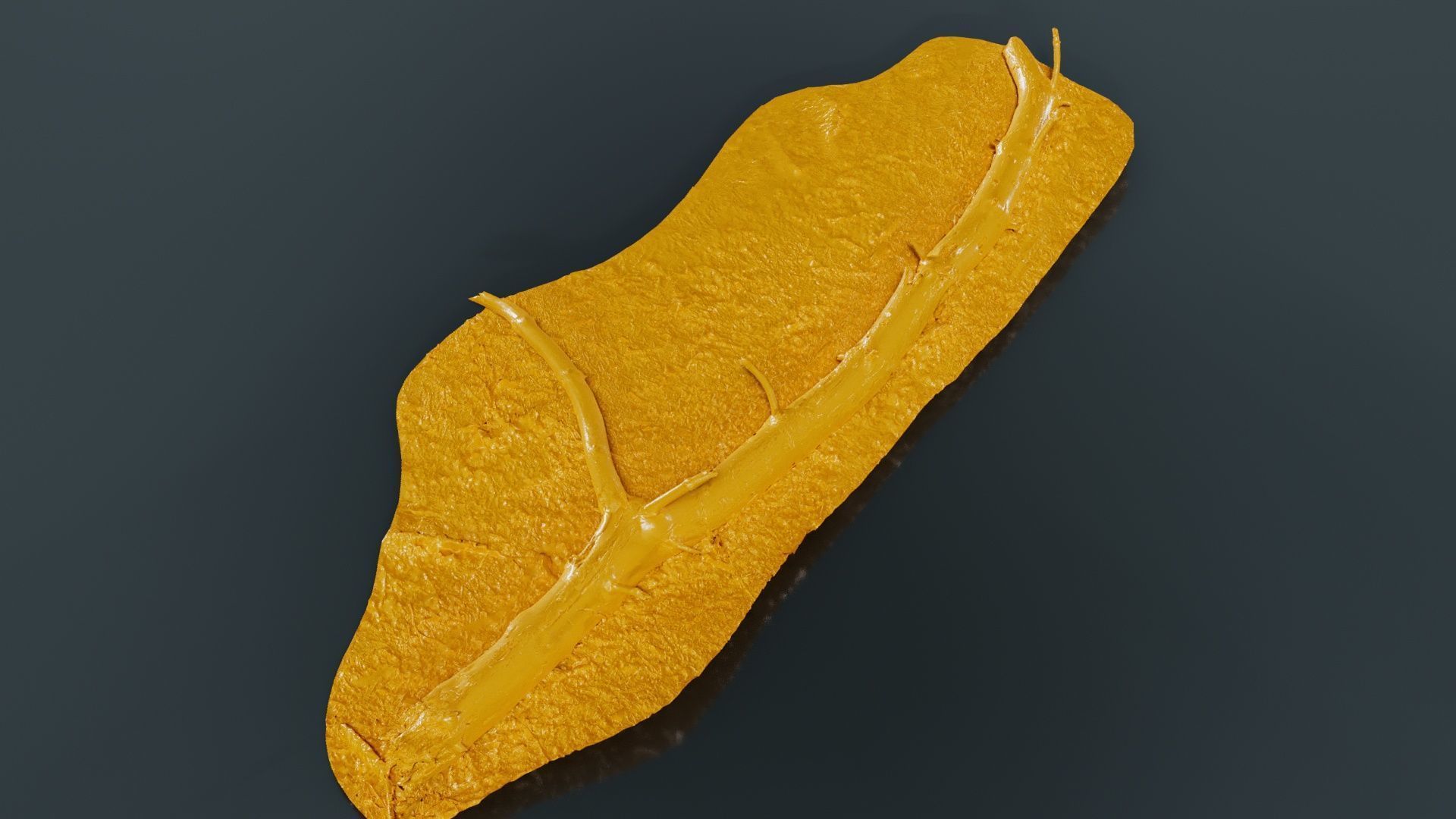 Ground Tree Branch Low-poly 3D model_13