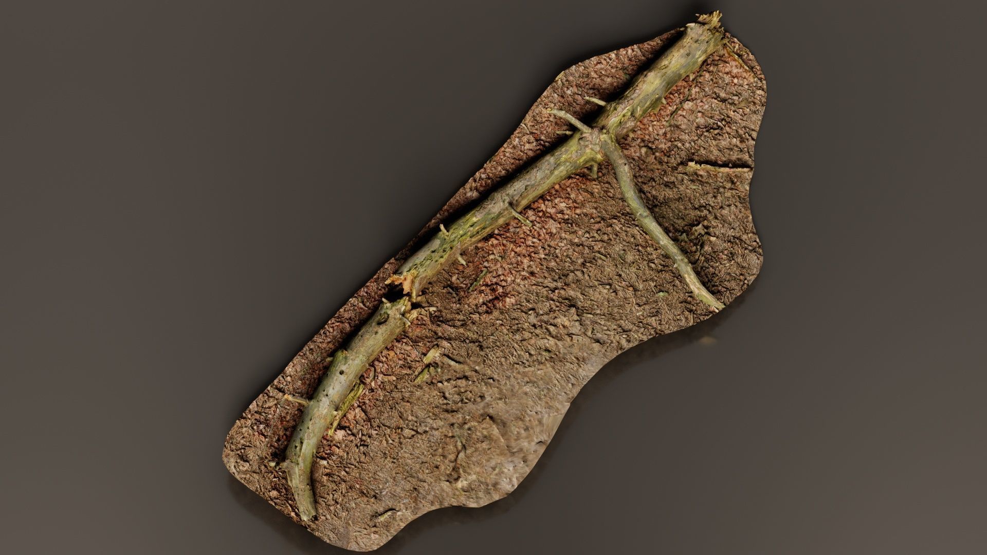 Ground Tree Branch Low-poly 3D model_8