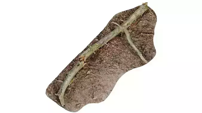Ground Tree Branch Low-poly 3D model