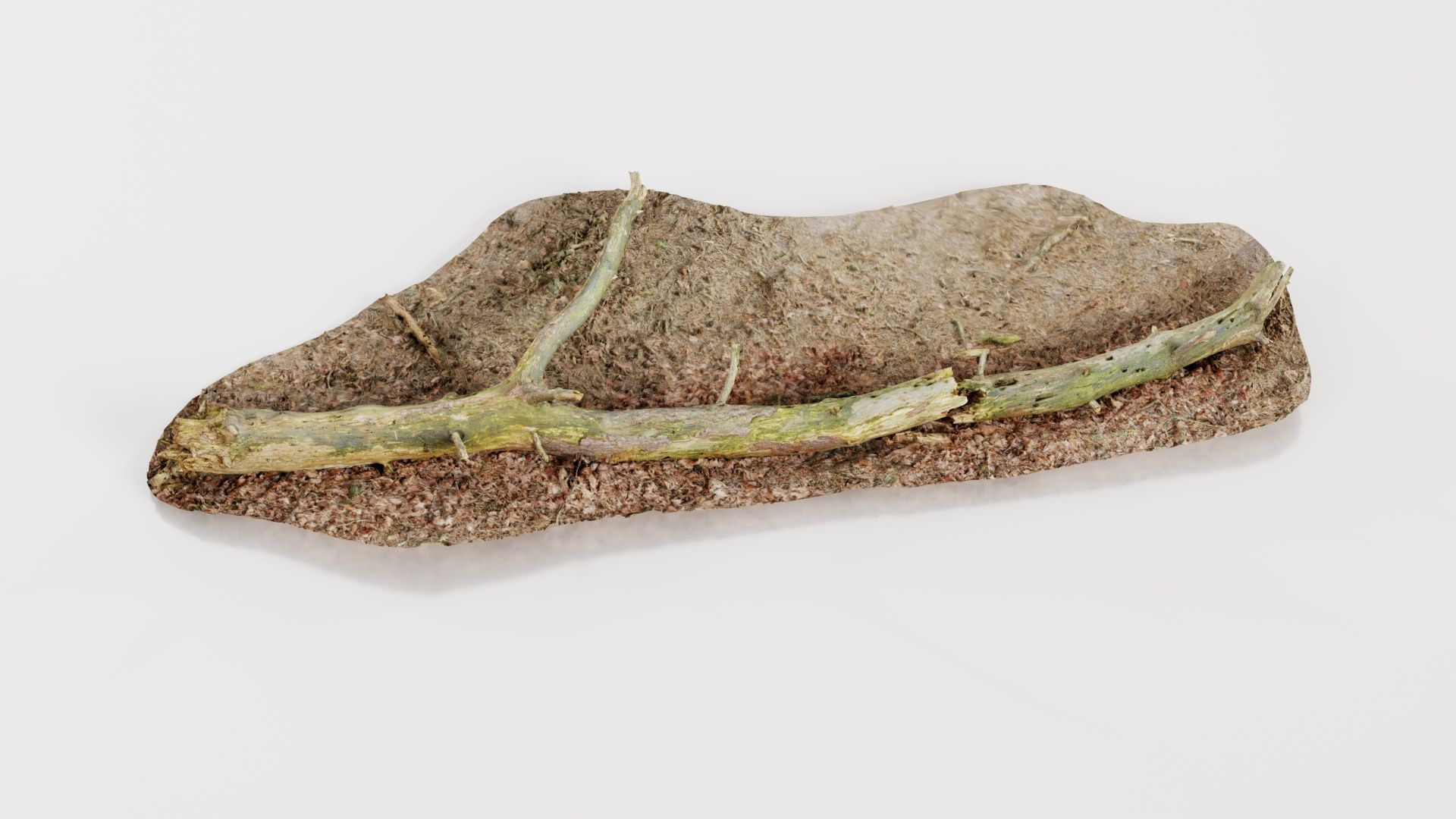 Ground Tree Branch Low-poly 3D model_7