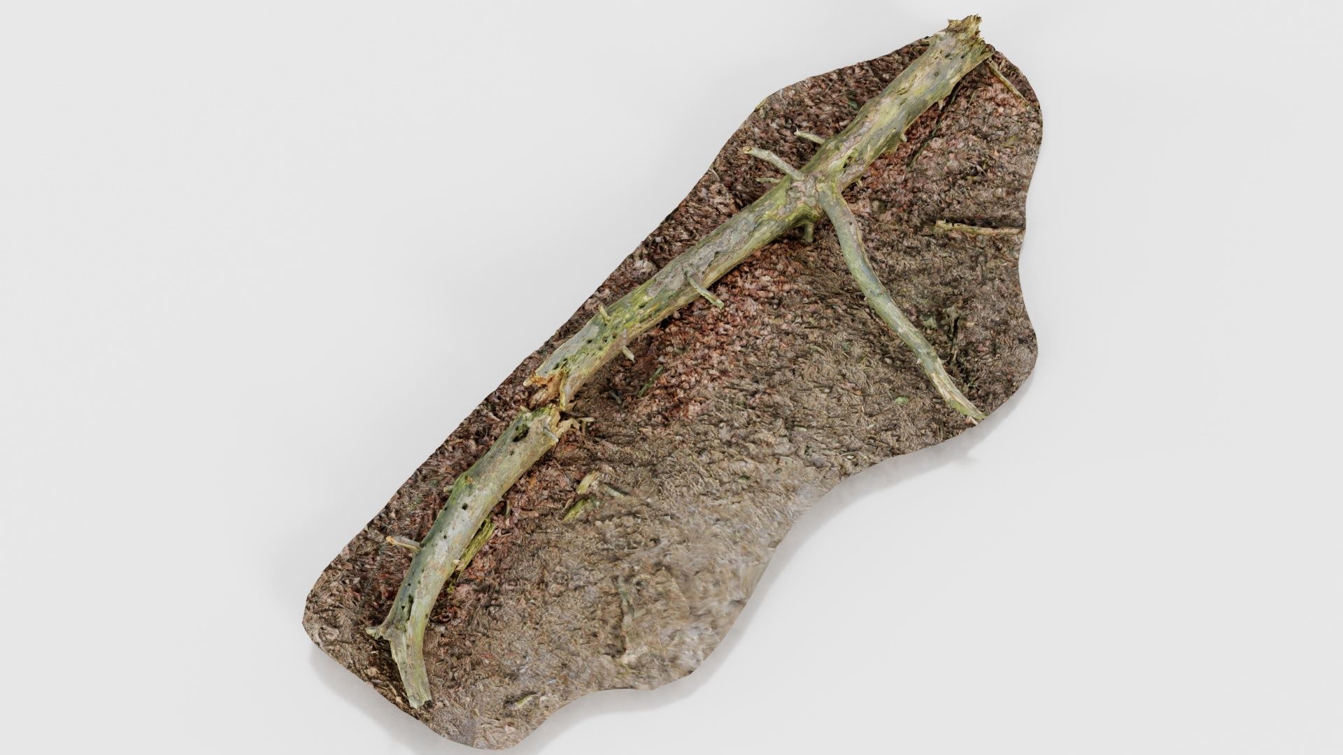 Ground Tree Branch Low-poly 3D model_15