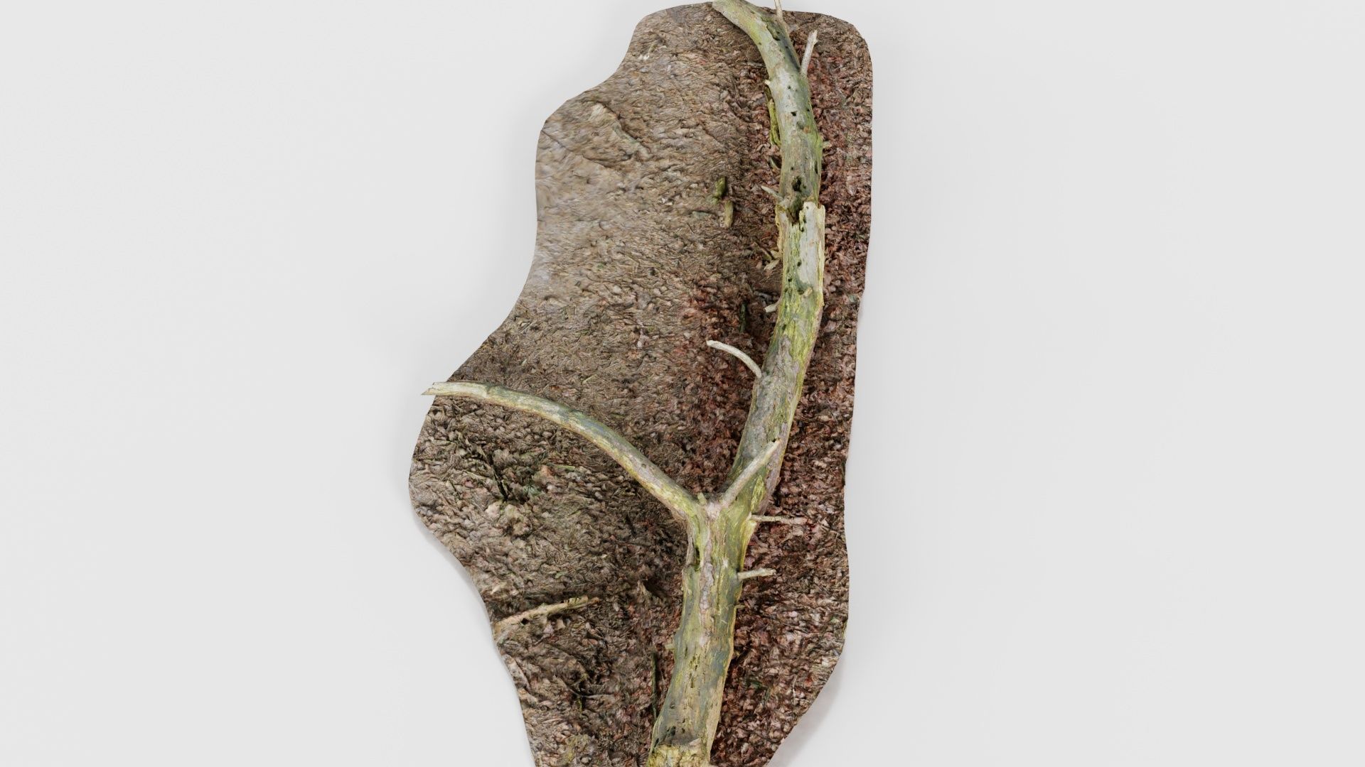 Ground Tree Branch Low-poly 3D model_22