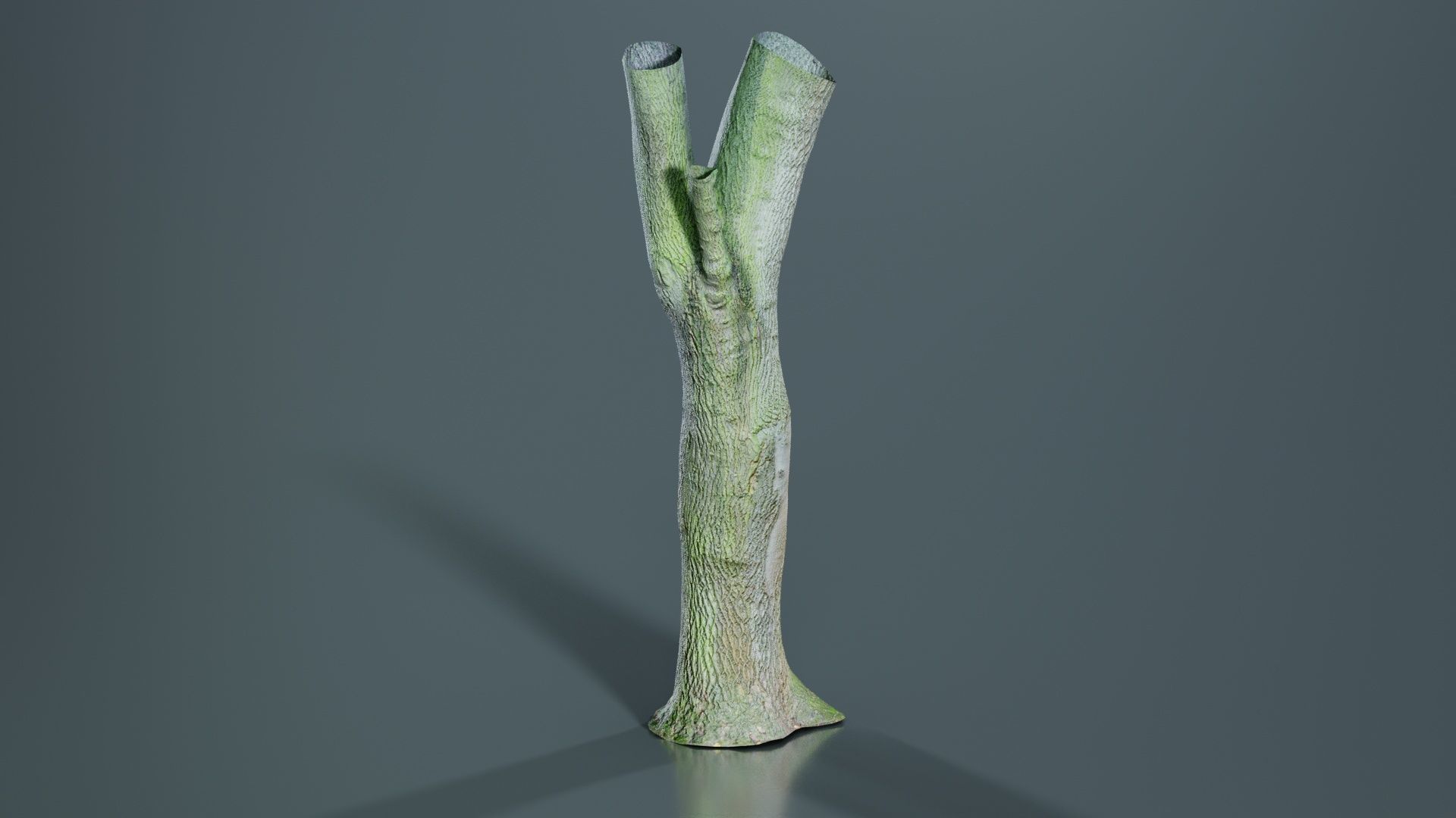 Hole Tree Trunk Low-poly 3D model_8