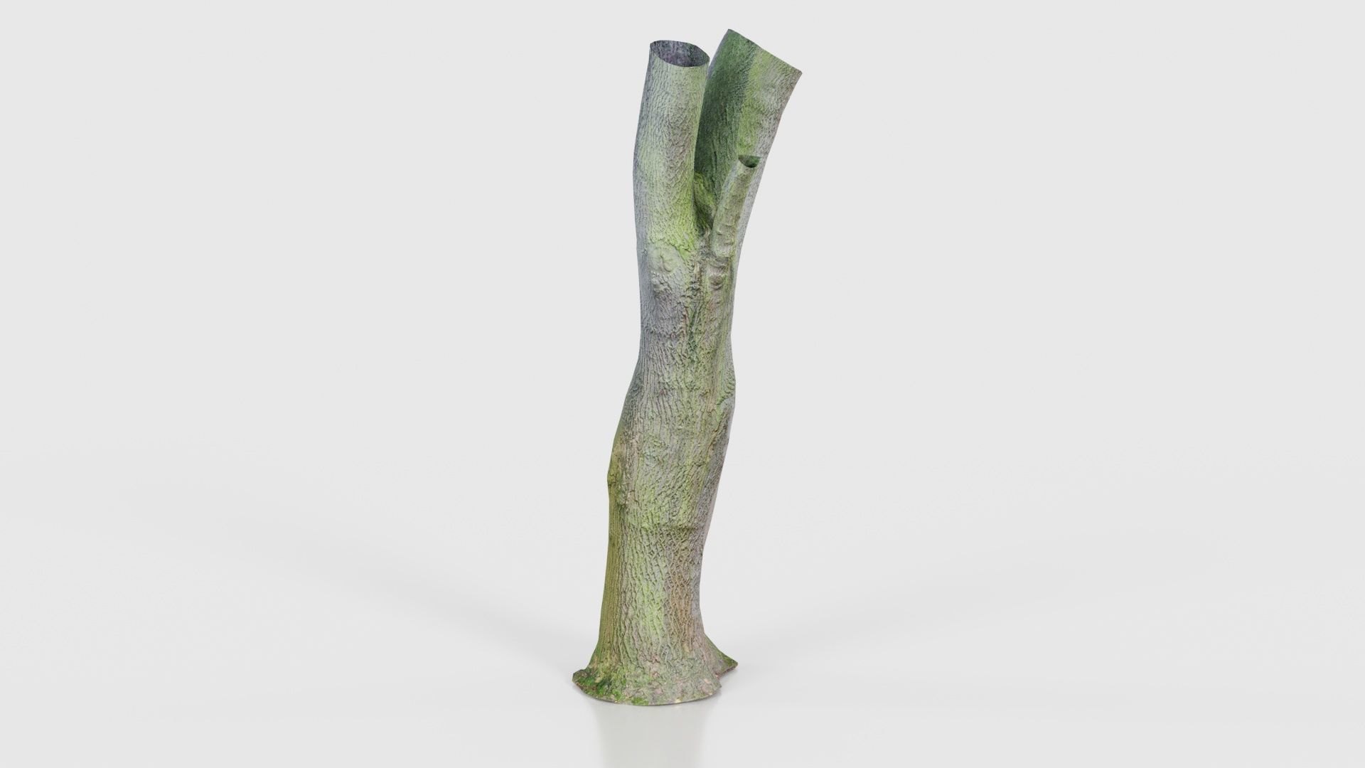 Hole Tree Trunk Low-poly 3D model_22