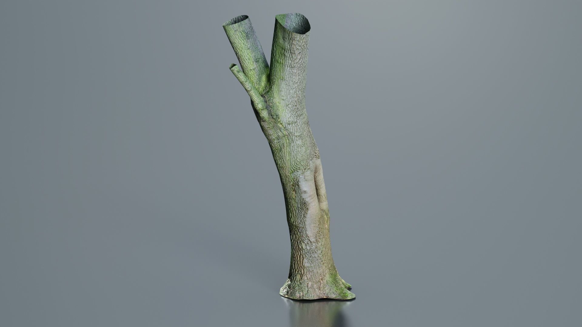 Hole Tree Trunk Low-poly 3D model_1