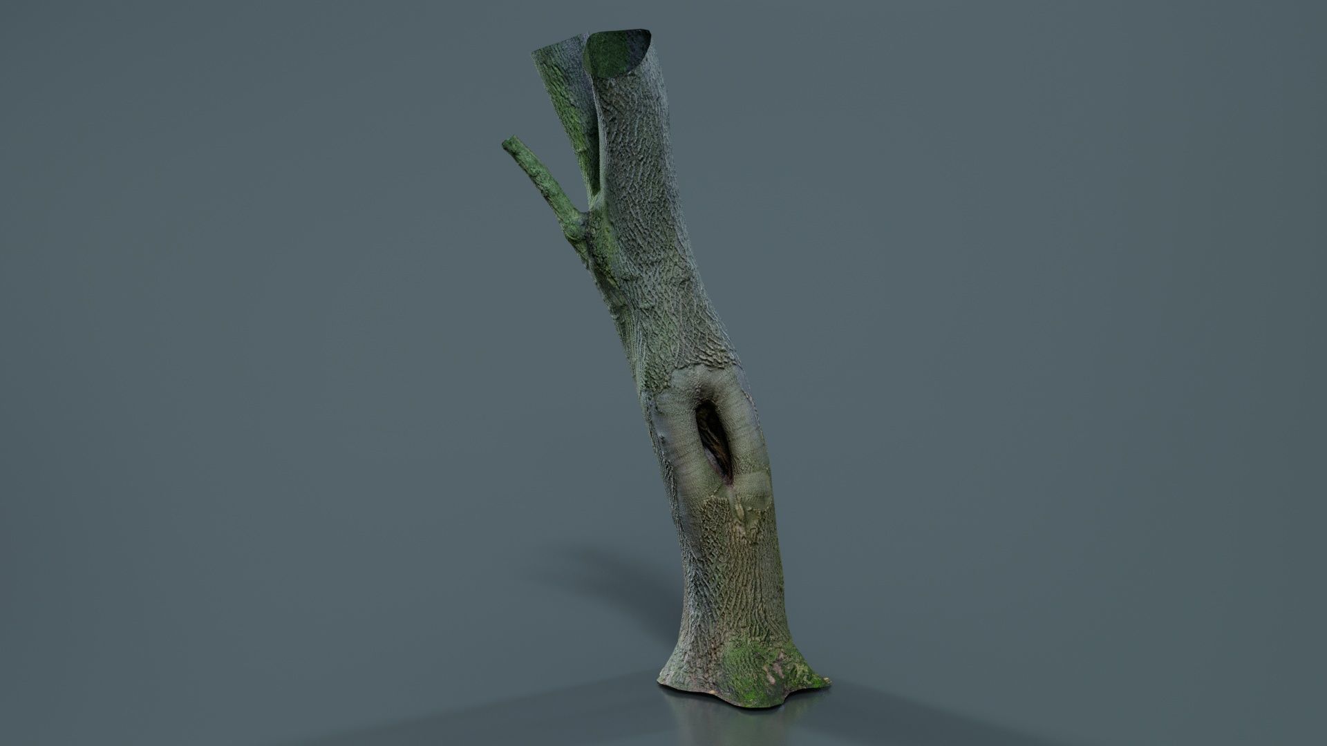 Hole Tree Trunk Low-poly 3D model_3