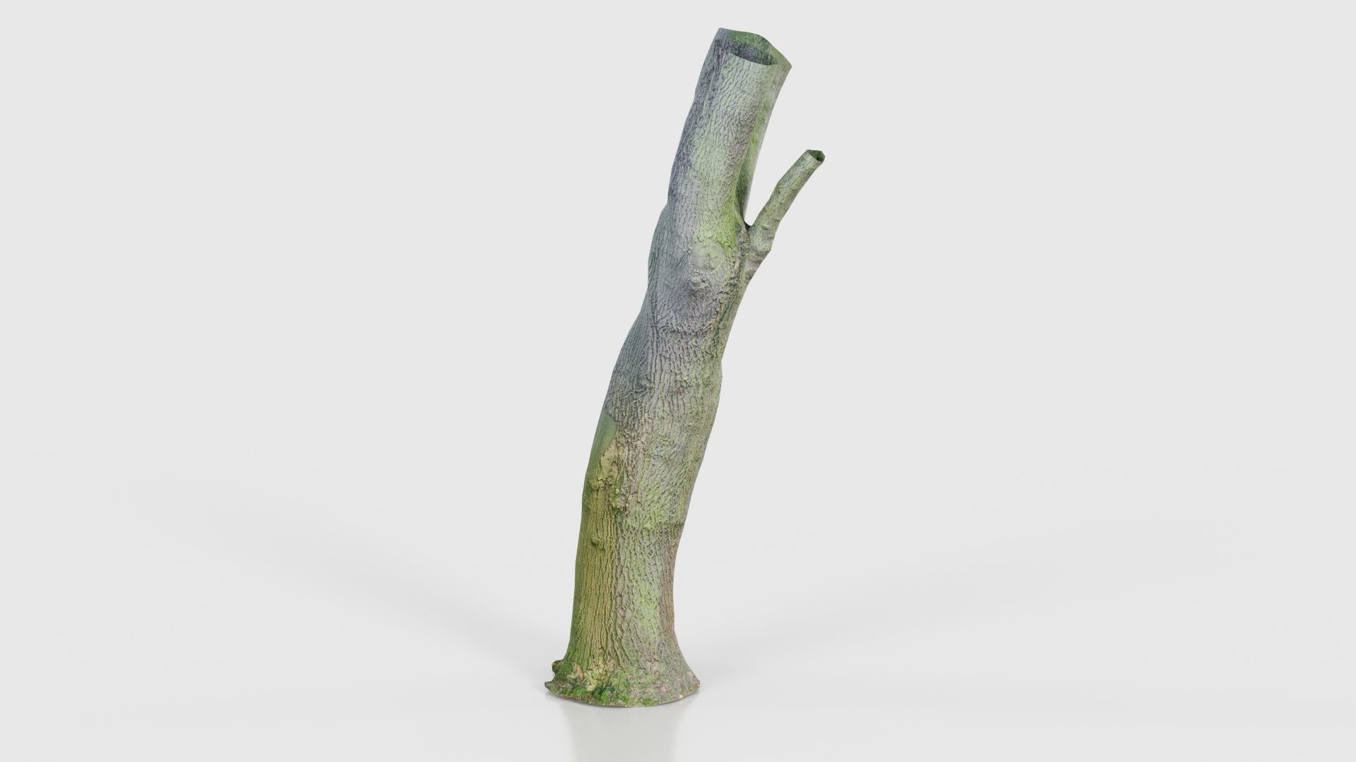 Hole Tree Trunk Low-poly 3D model_23
