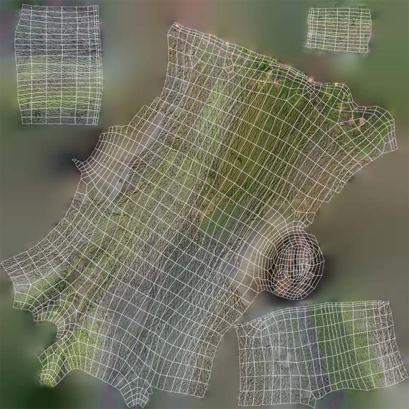 Hole Tree Trunk Low-poly 3D model_14