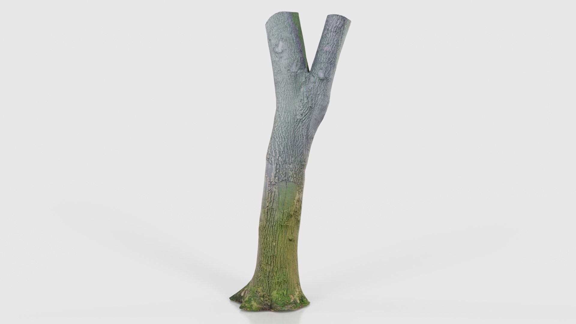 Hole Tree Trunk Low-poly 3D model_26