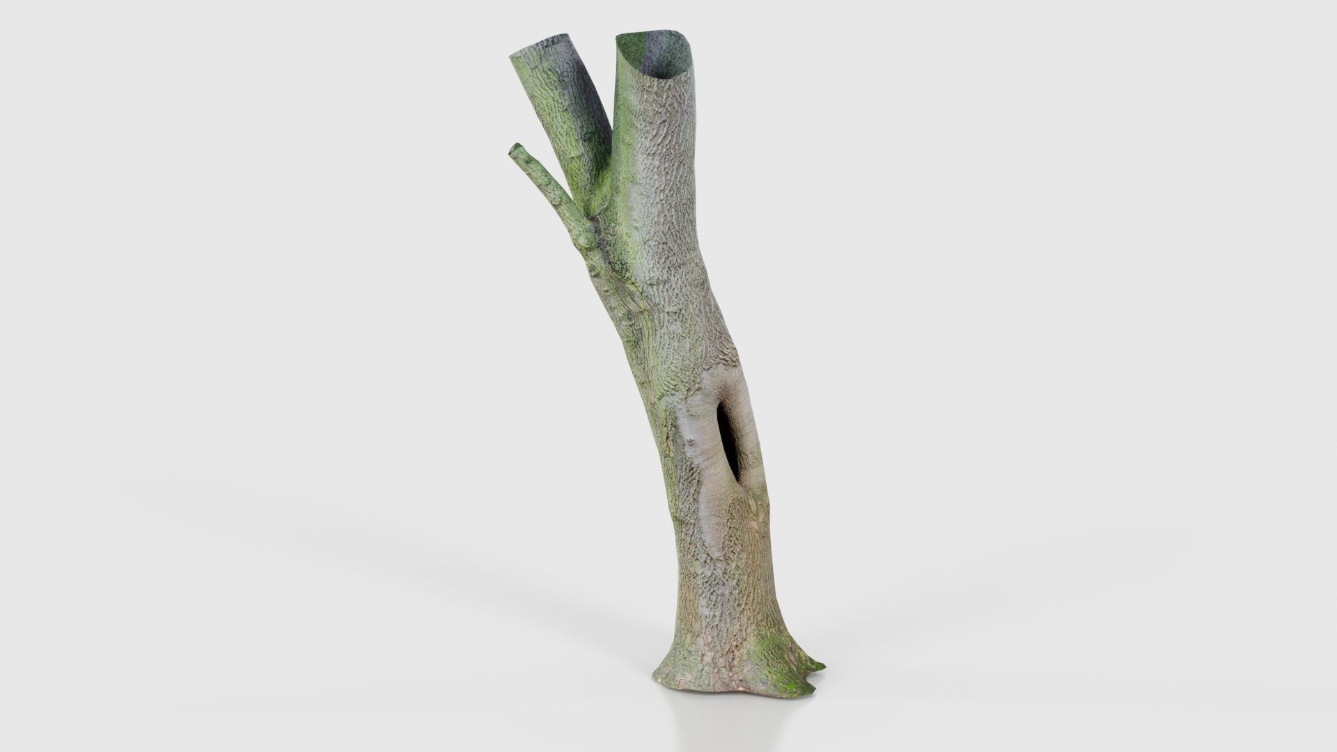 Hole Tree Trunk Low-poly 3D model_19