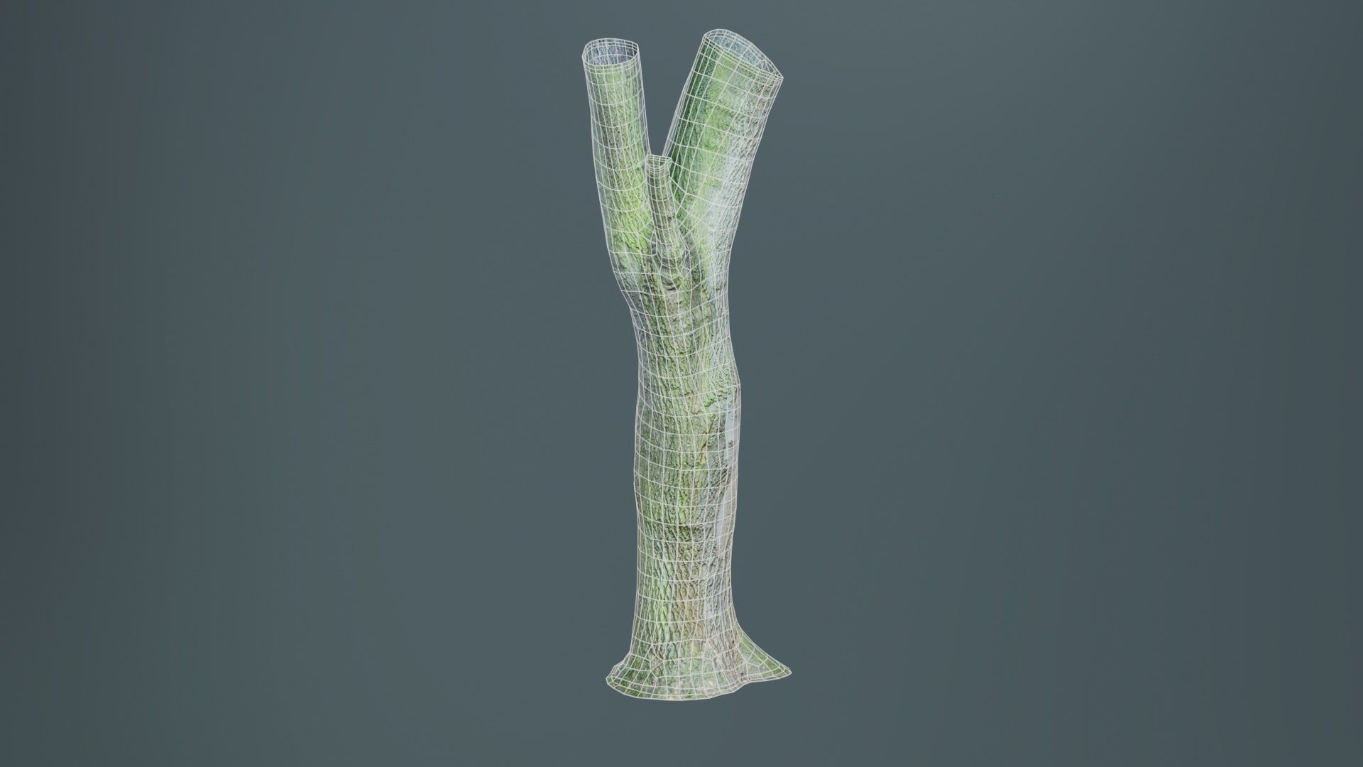 Hole Tree Trunk Low-poly 3D model_10