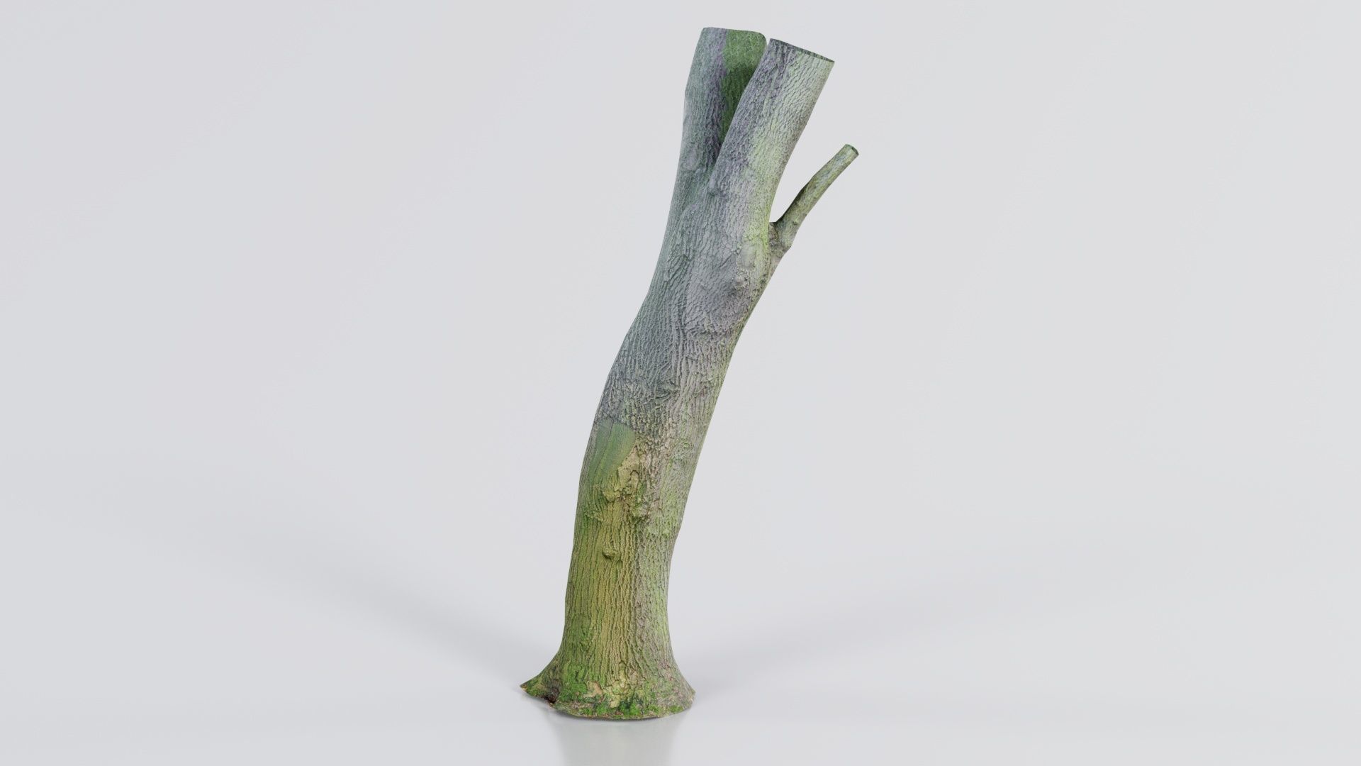 Hole Tree Trunk Low-poly 3D model_7