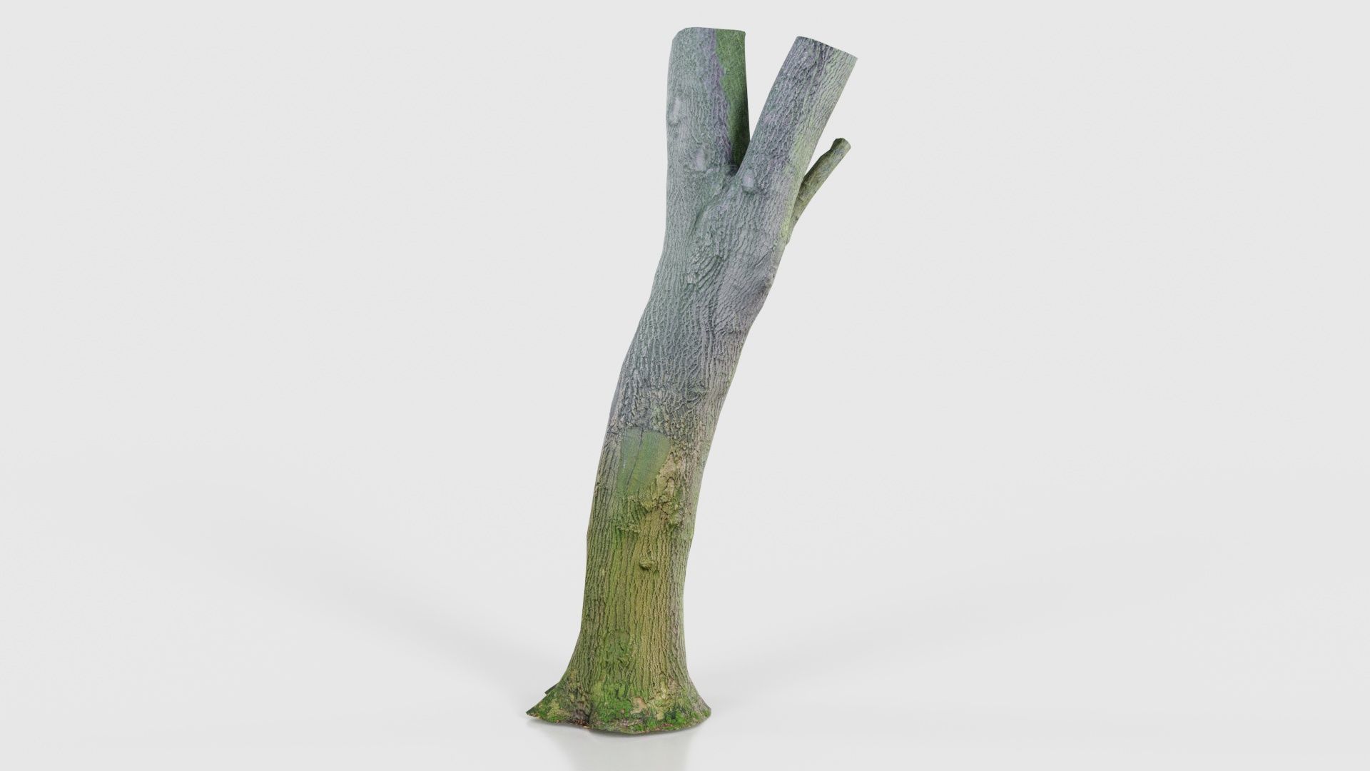 Hole Tree Trunk Low-poly 3D model_25