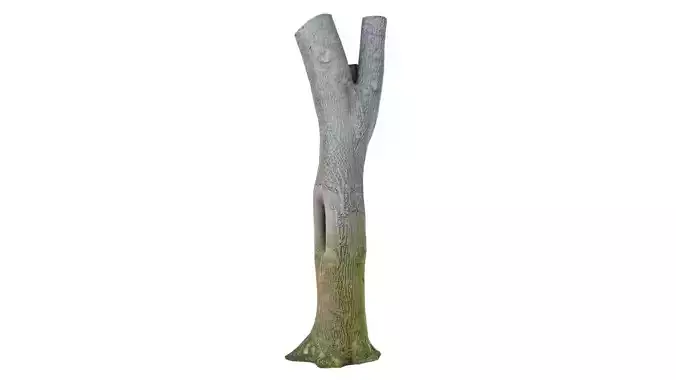Hole Tree Trunk Low-poly 3D model