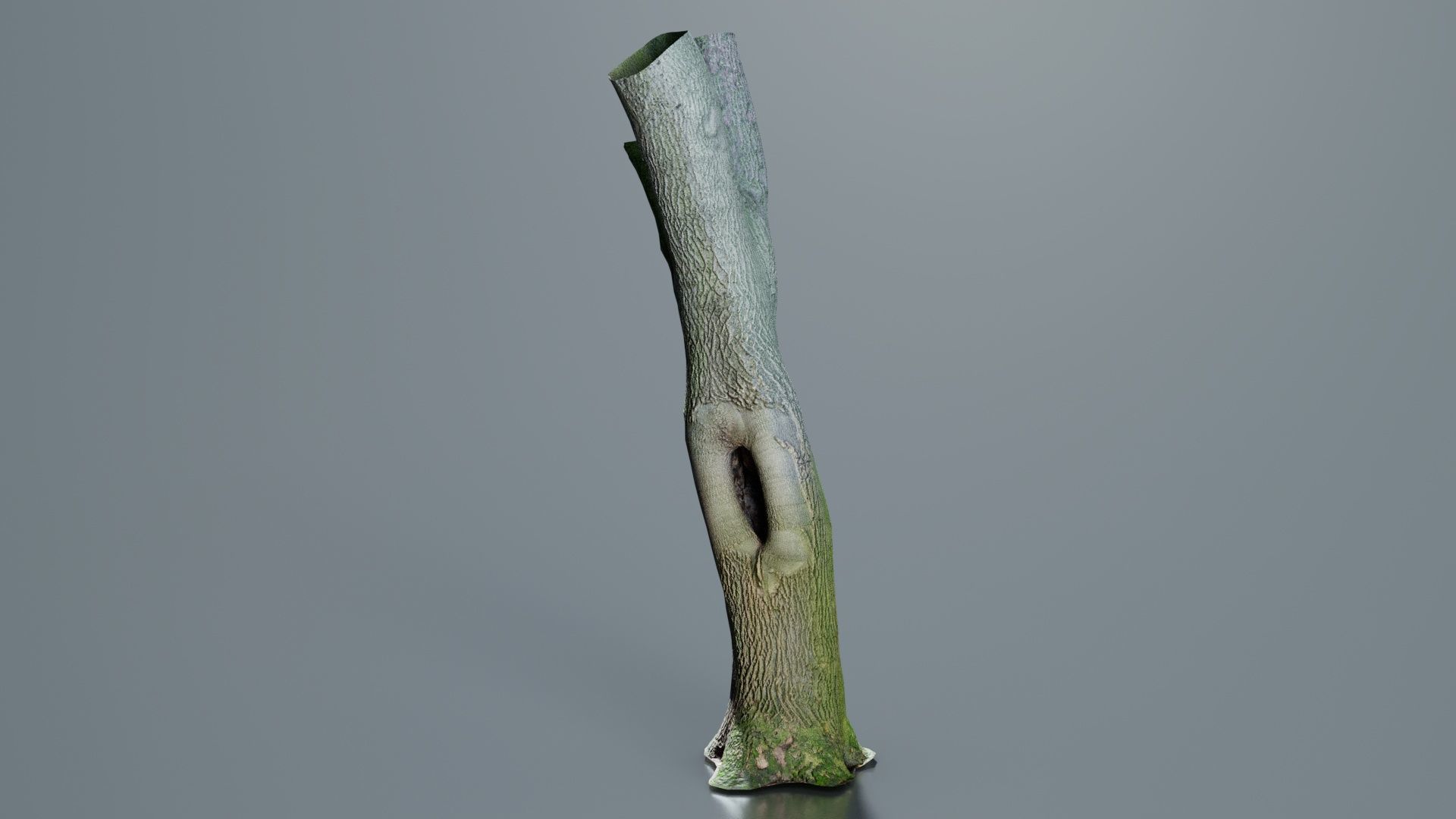 Hole Tree Trunk Low-poly 3D model_6