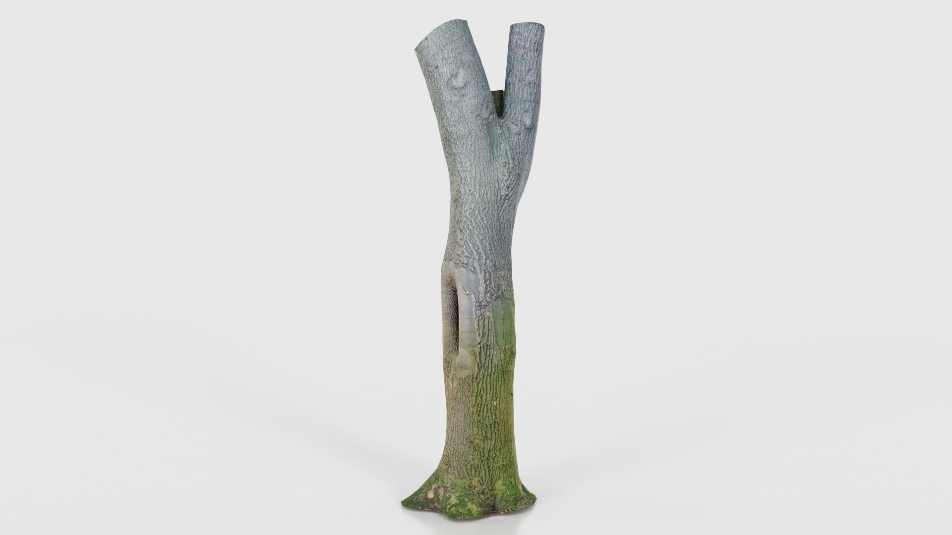 Hole Tree Trunk Low-poly 3D model_15