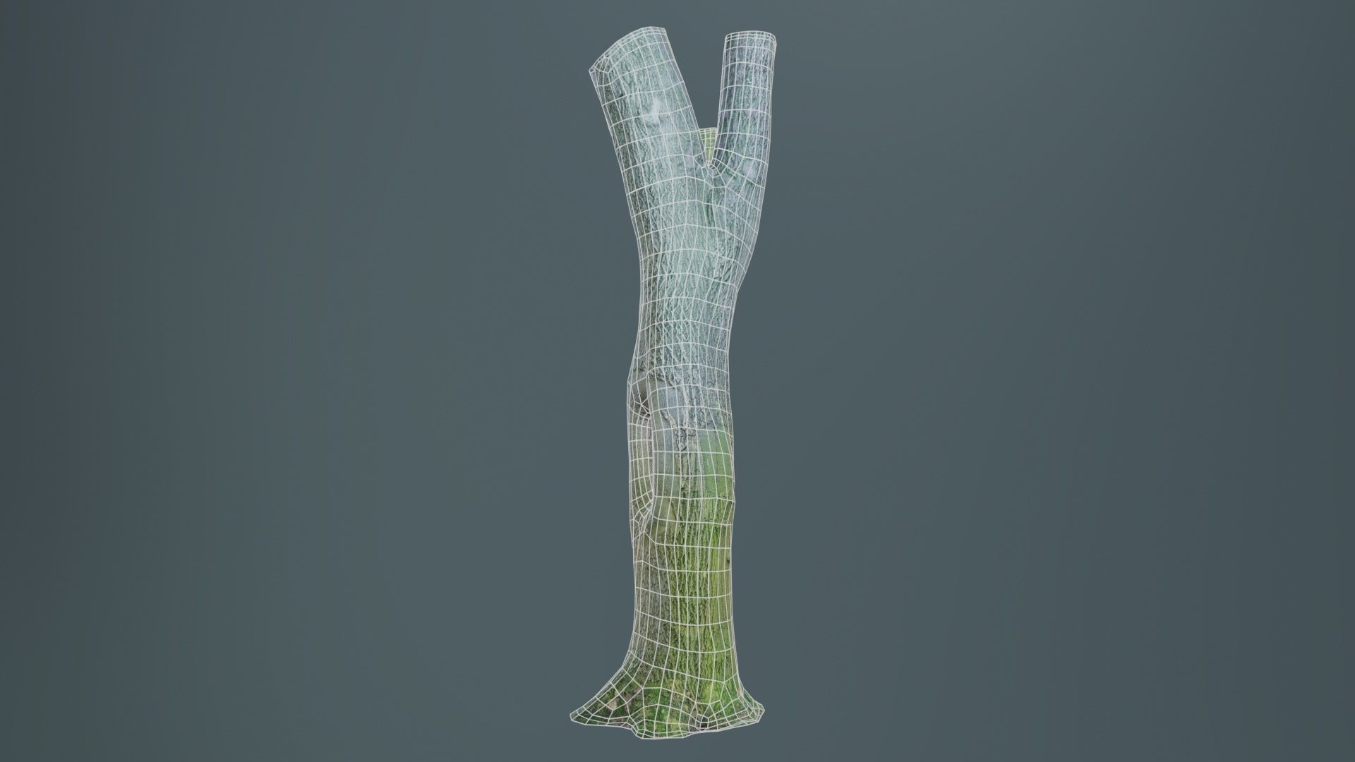 Hole Tree Trunk Low-poly 3D model_9