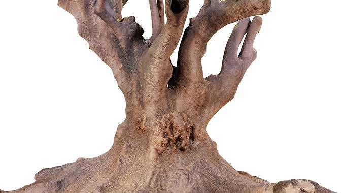 Large Tree Low-poly 3D model